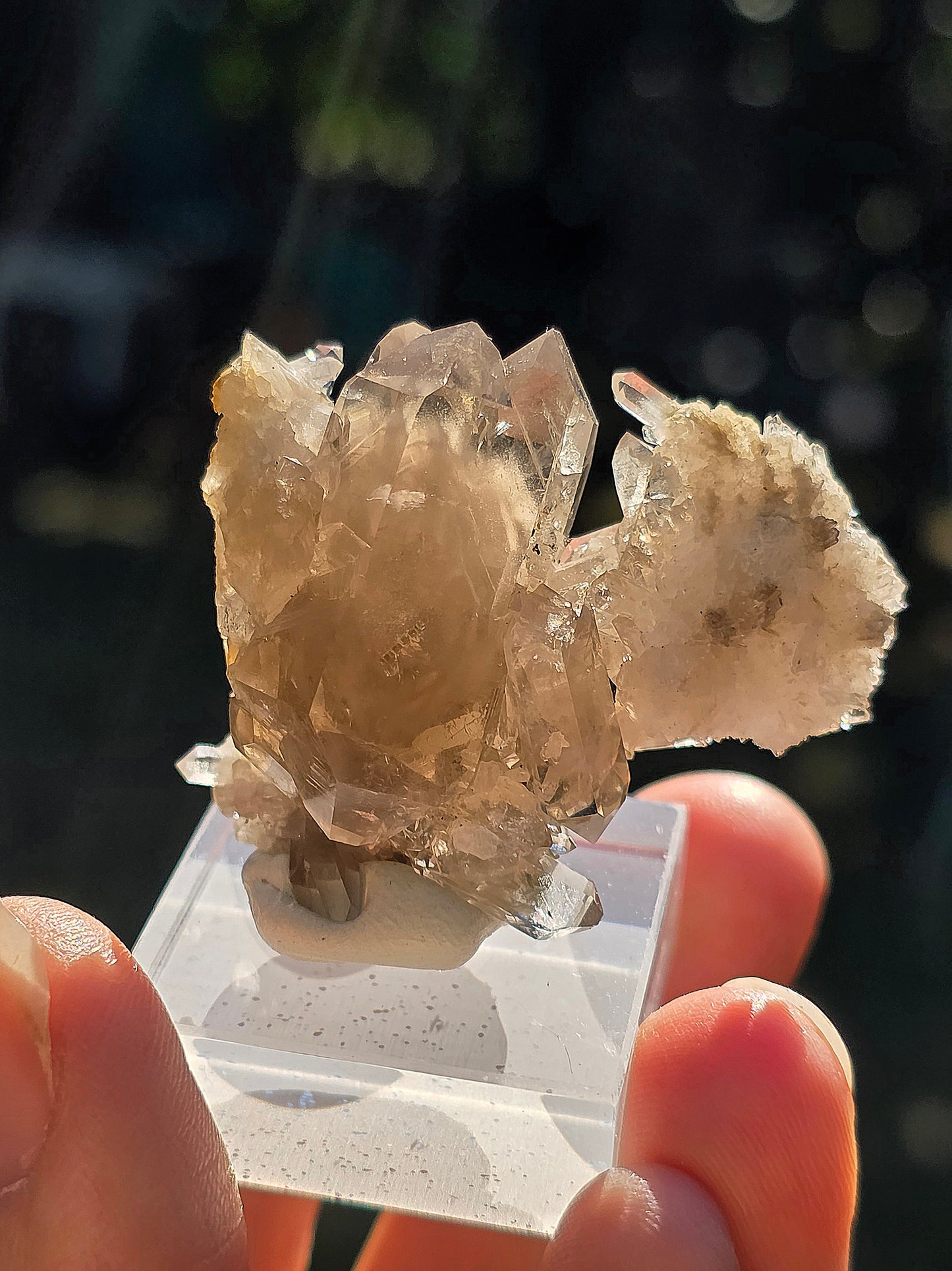 Quartz fumé des Pyrénées n°20