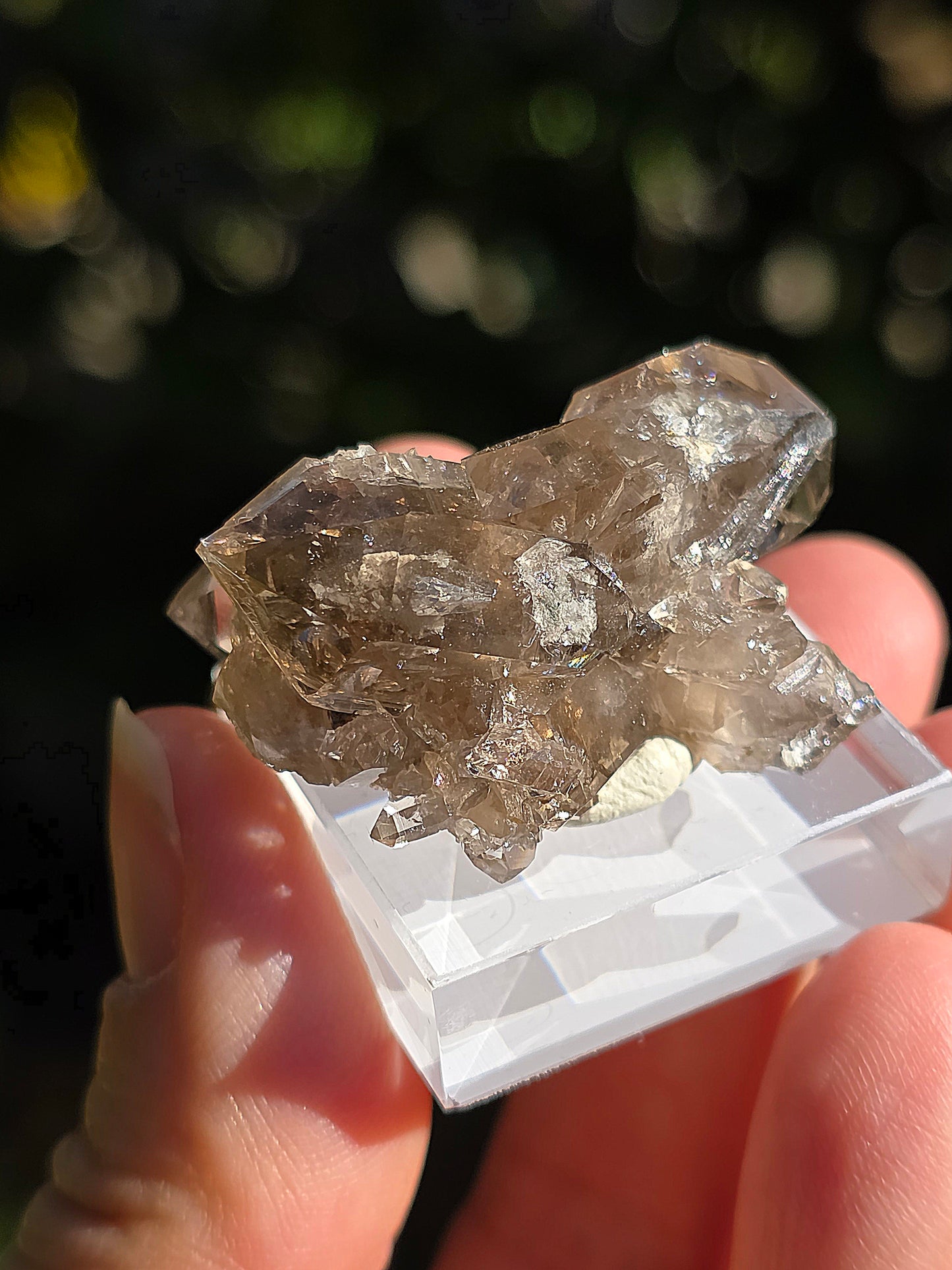 Quartz fumé des Pyrénées n°17