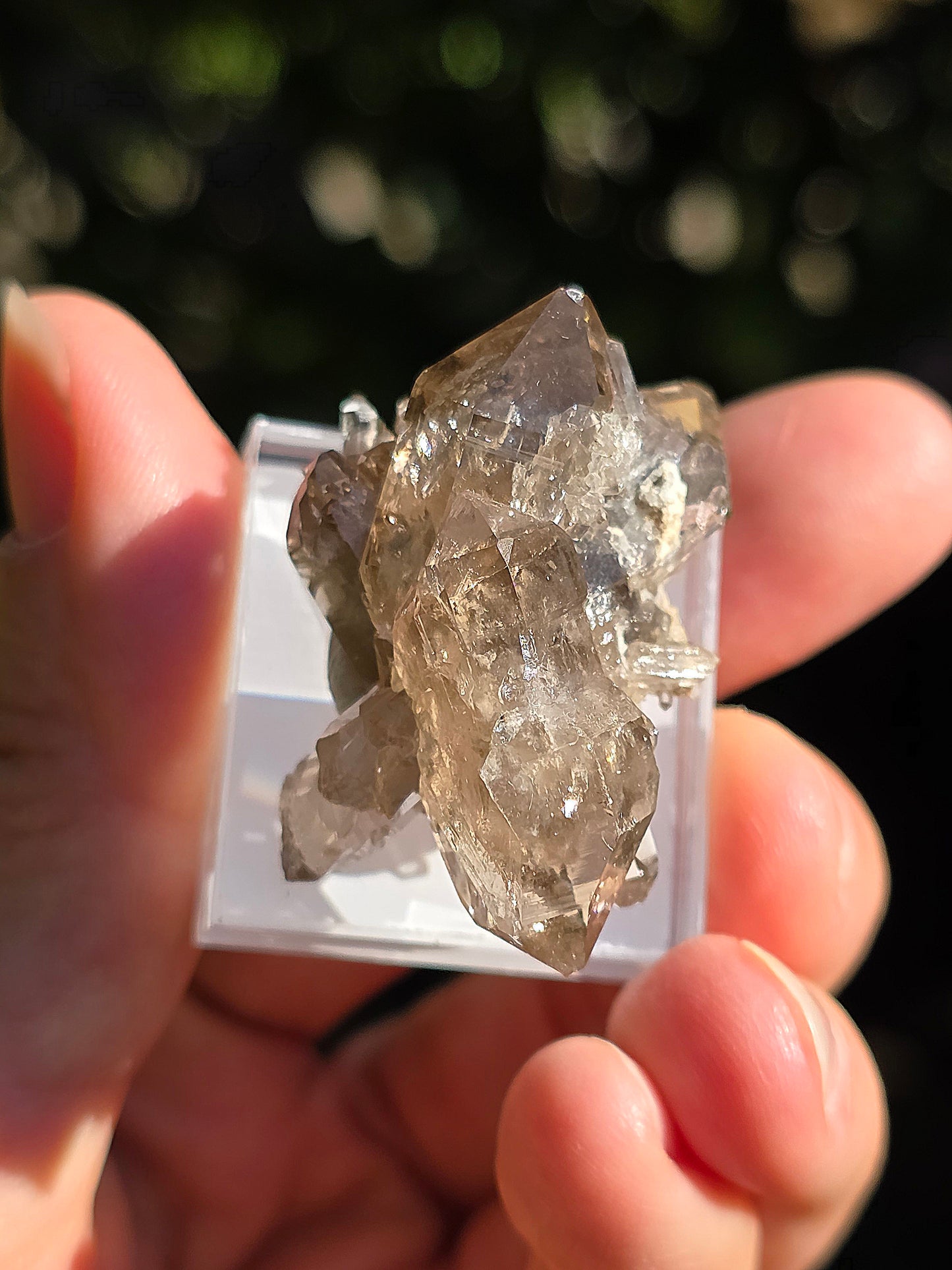 Quartz fumé des Pyrénées n°17
