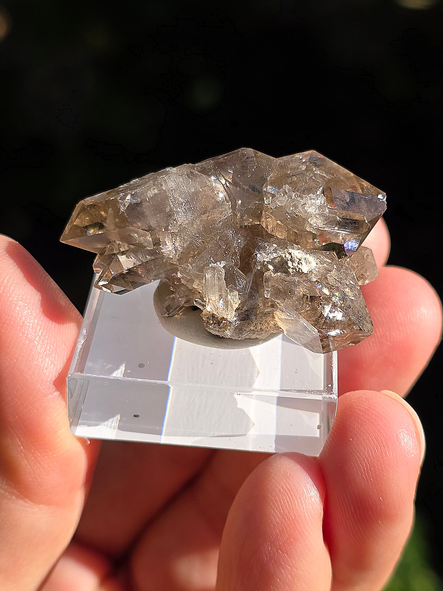 Quartz fumé des Pyrénées n°17
