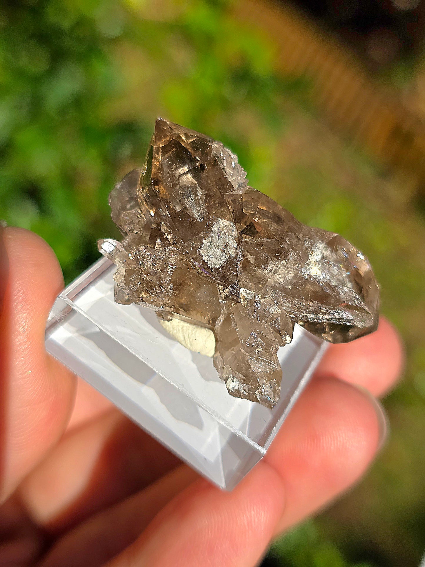 Quartz fumé des Pyrénées n°17