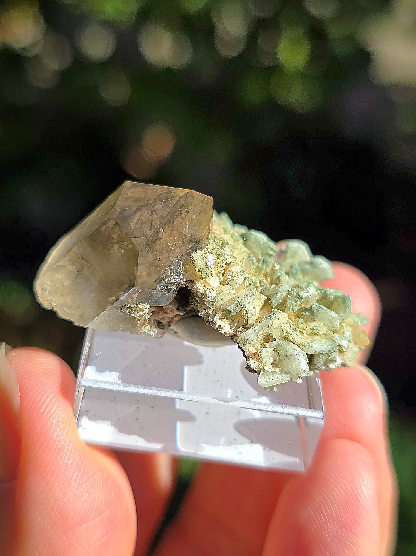 Quartz des Pyrénées n°11