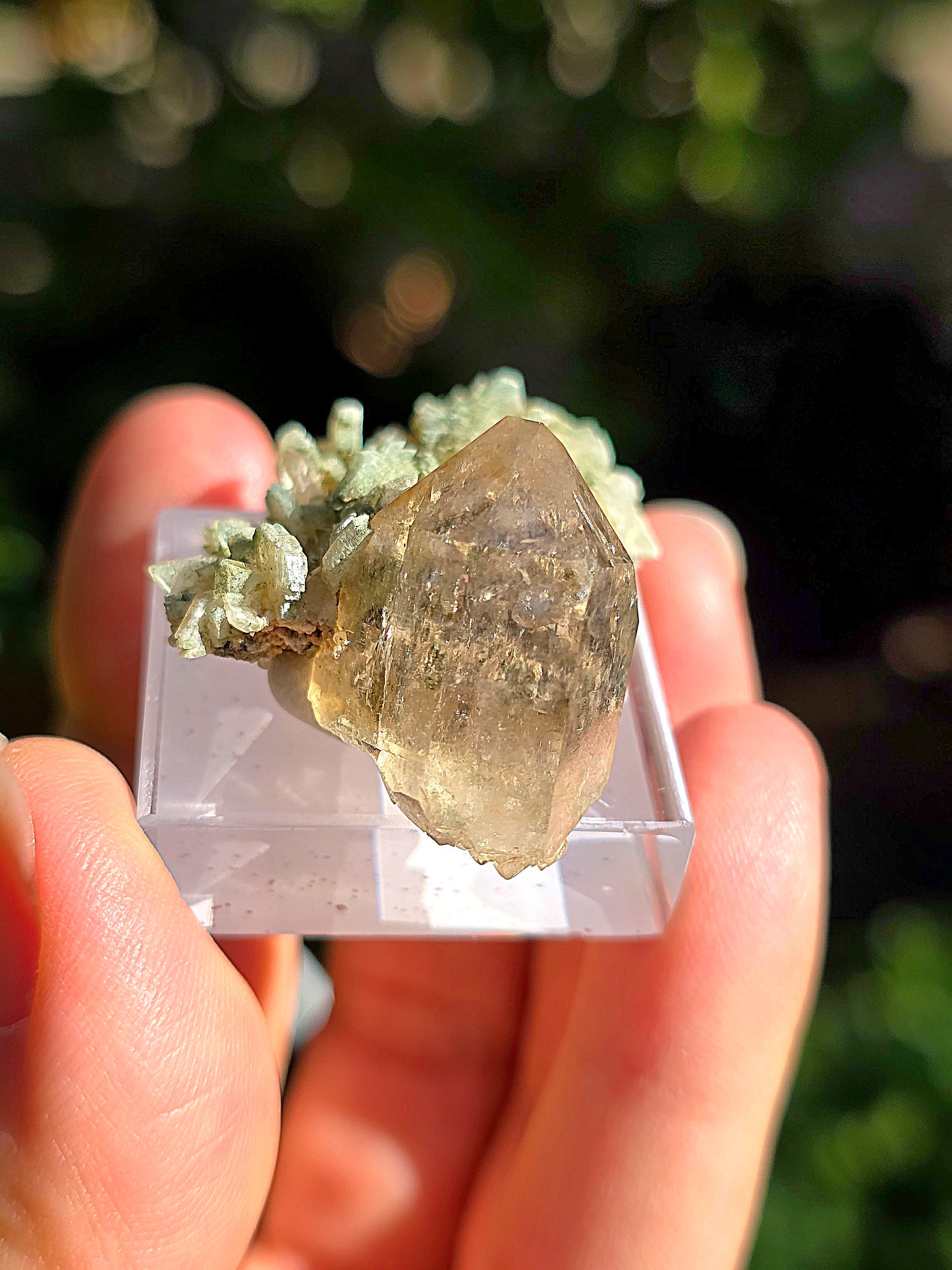 Quartz des Pyrénées n°11