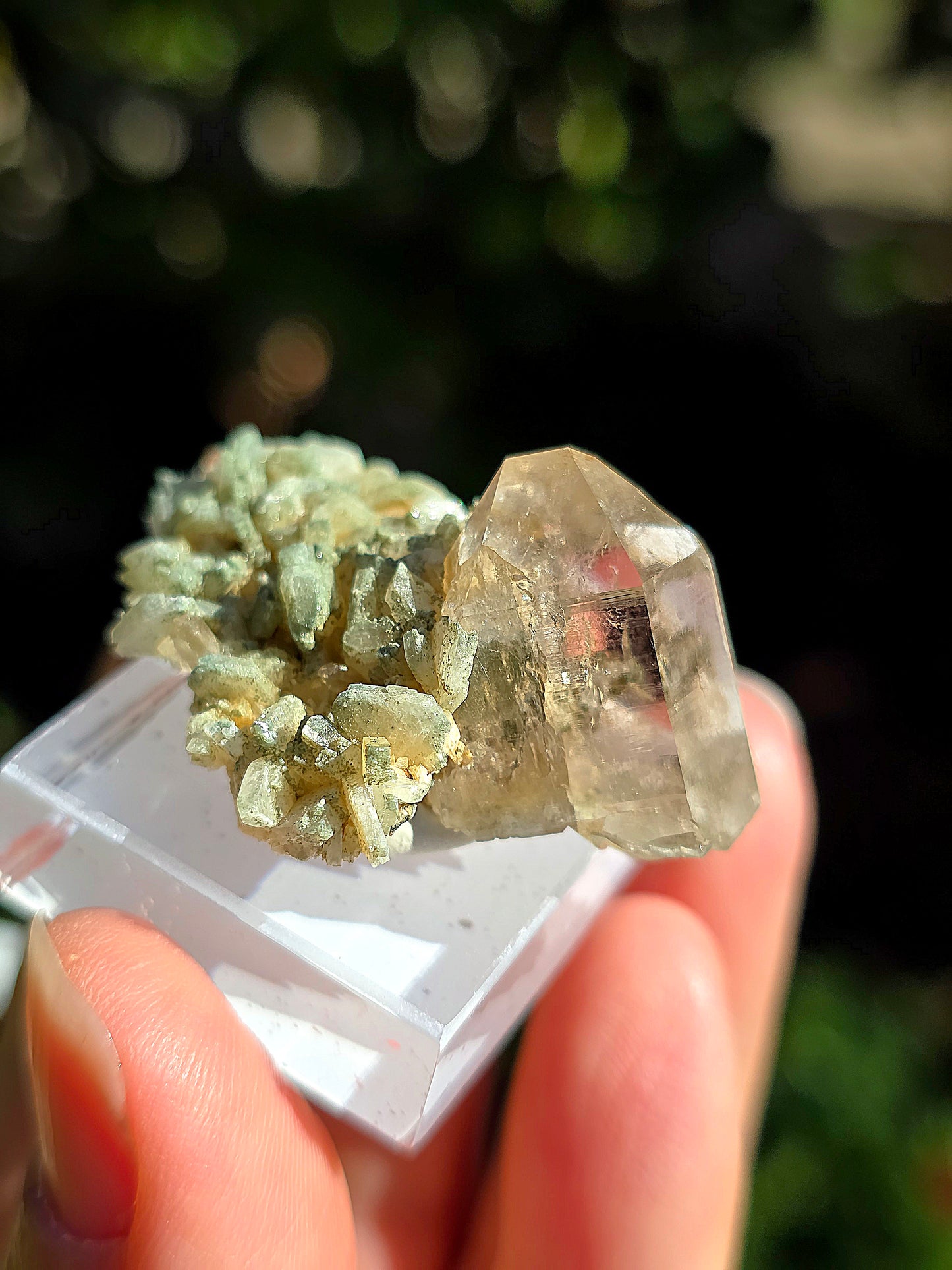 Quartz des Pyrénées n°11