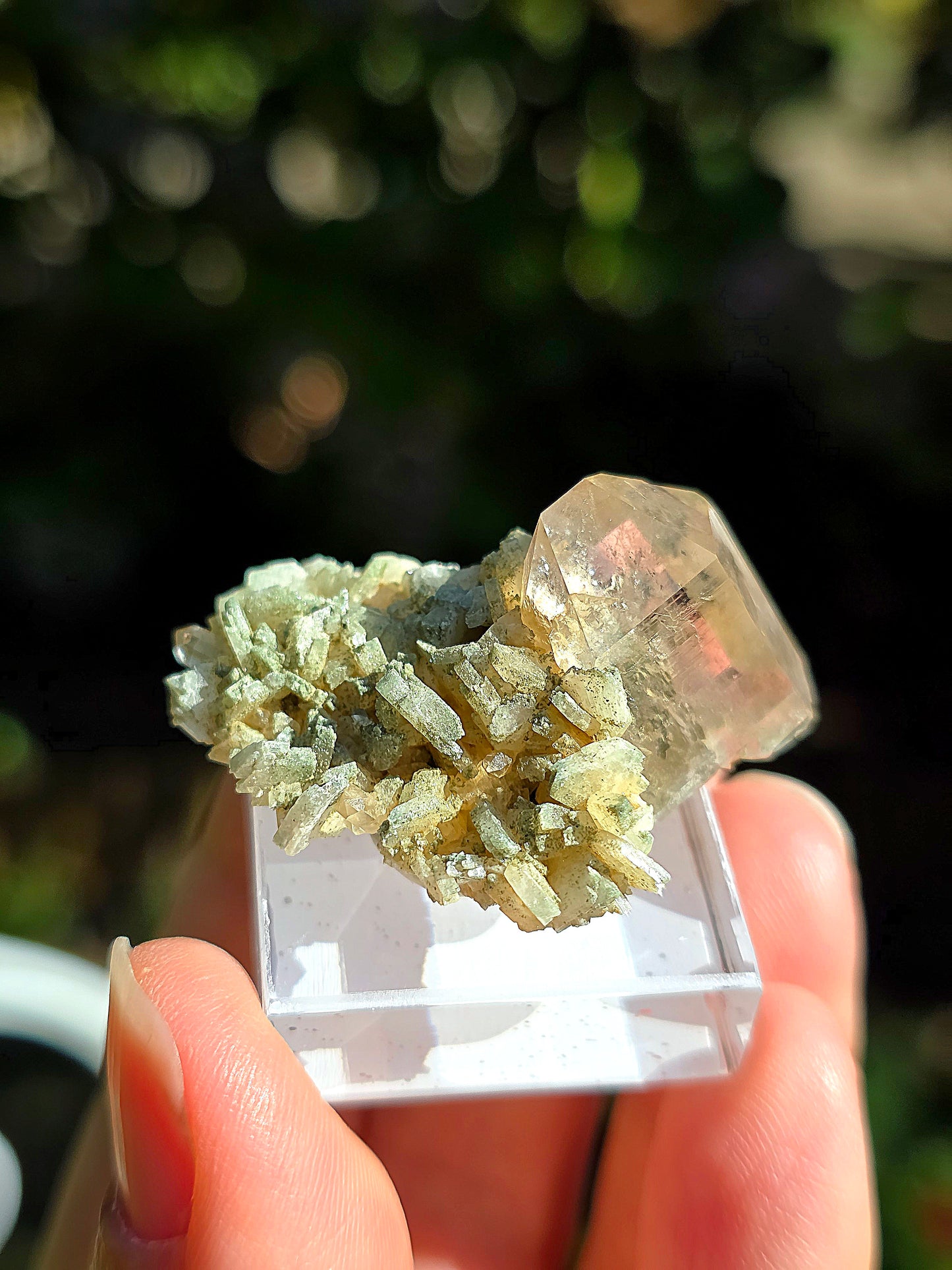 Quartz des Pyrénées n°11
