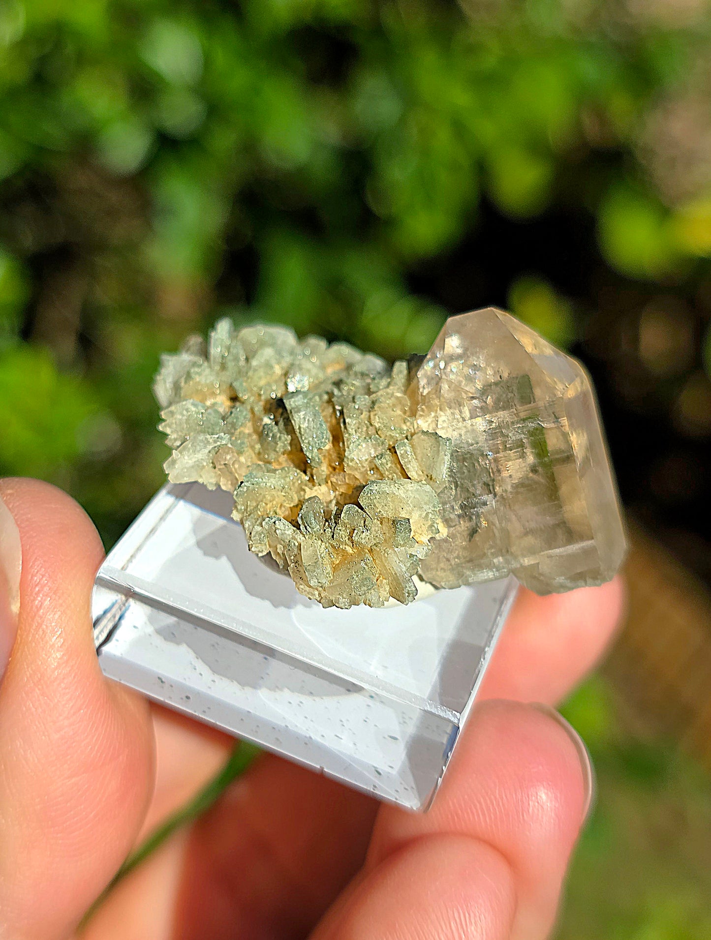 Quartz des Pyrénées n°11