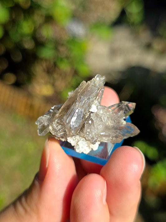 Quartz fumé des Pyrénées n°26