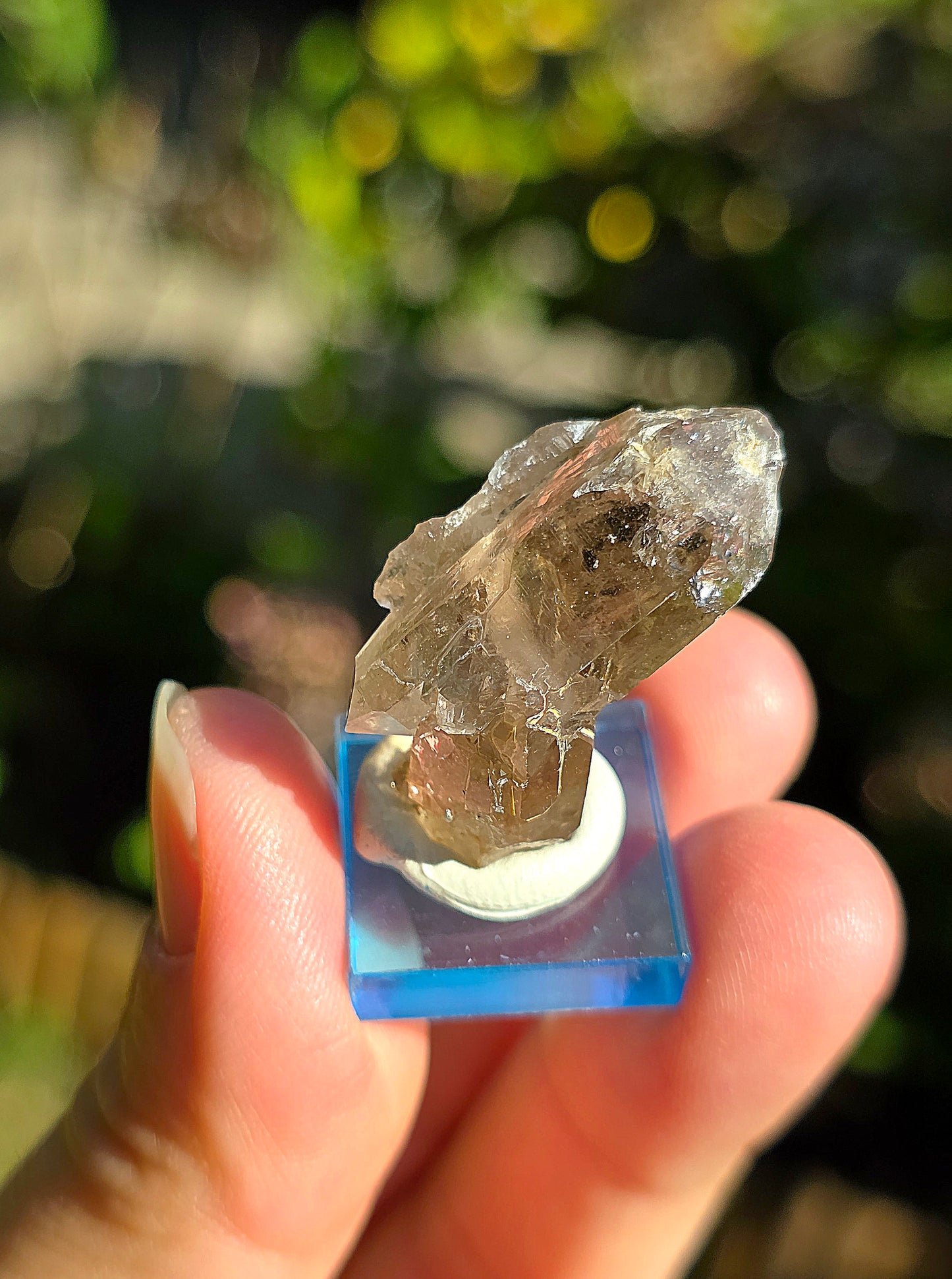 Quartz fumé des Pyrénées n°24