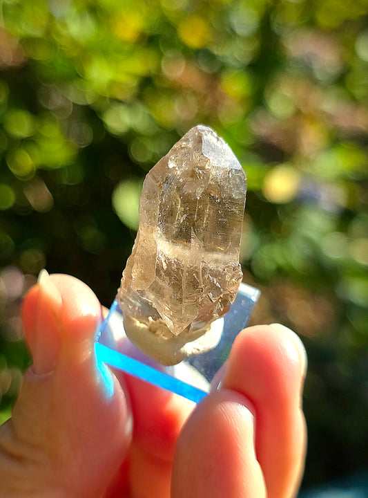 Quartz fumé des Pyrénées n°24