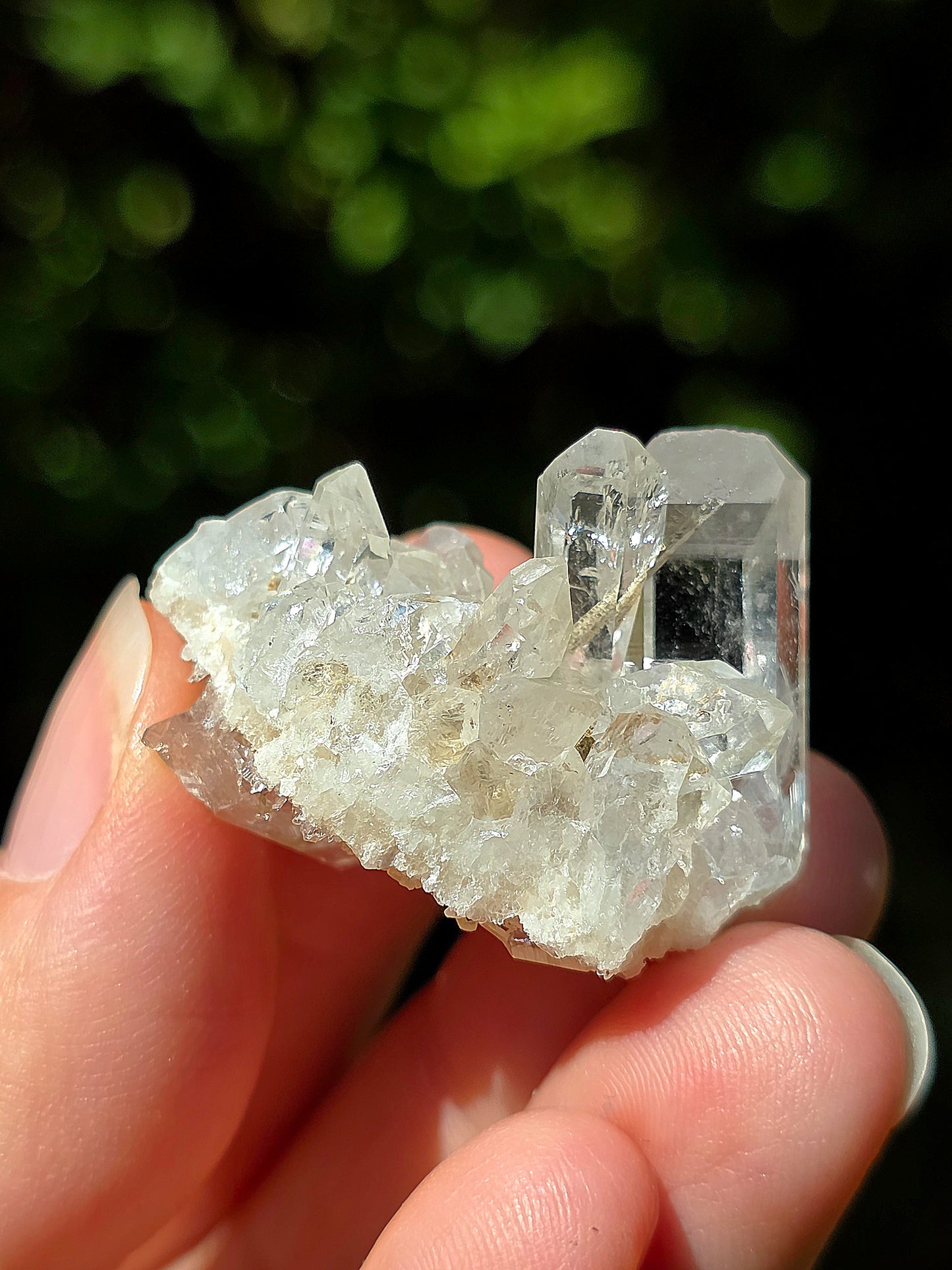 Quartz des Pyrénées n°12