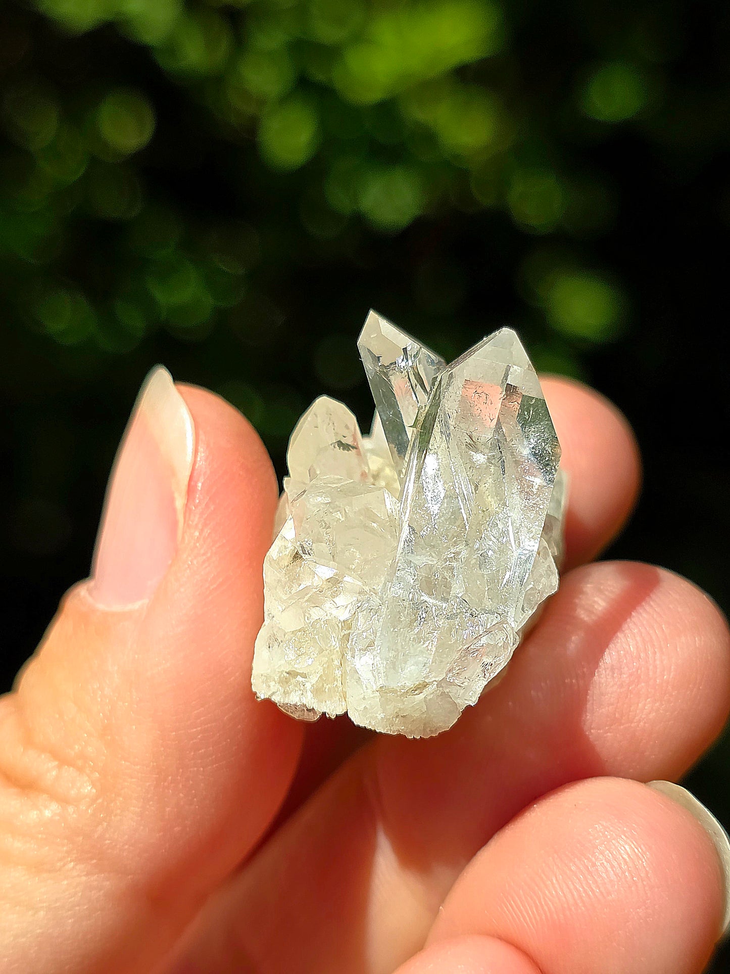 Quartz des Pyrénées n°12