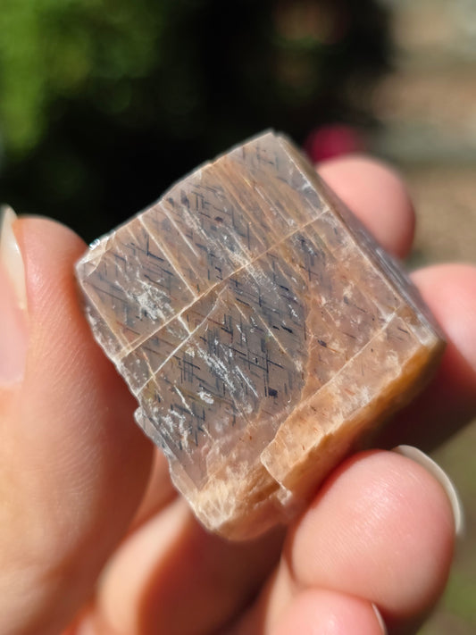 Pierre de soleil Rainbow Lattice n°2