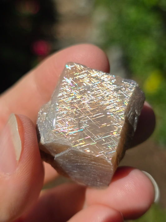 Pierre de soleil Rainbow Lattice n°4