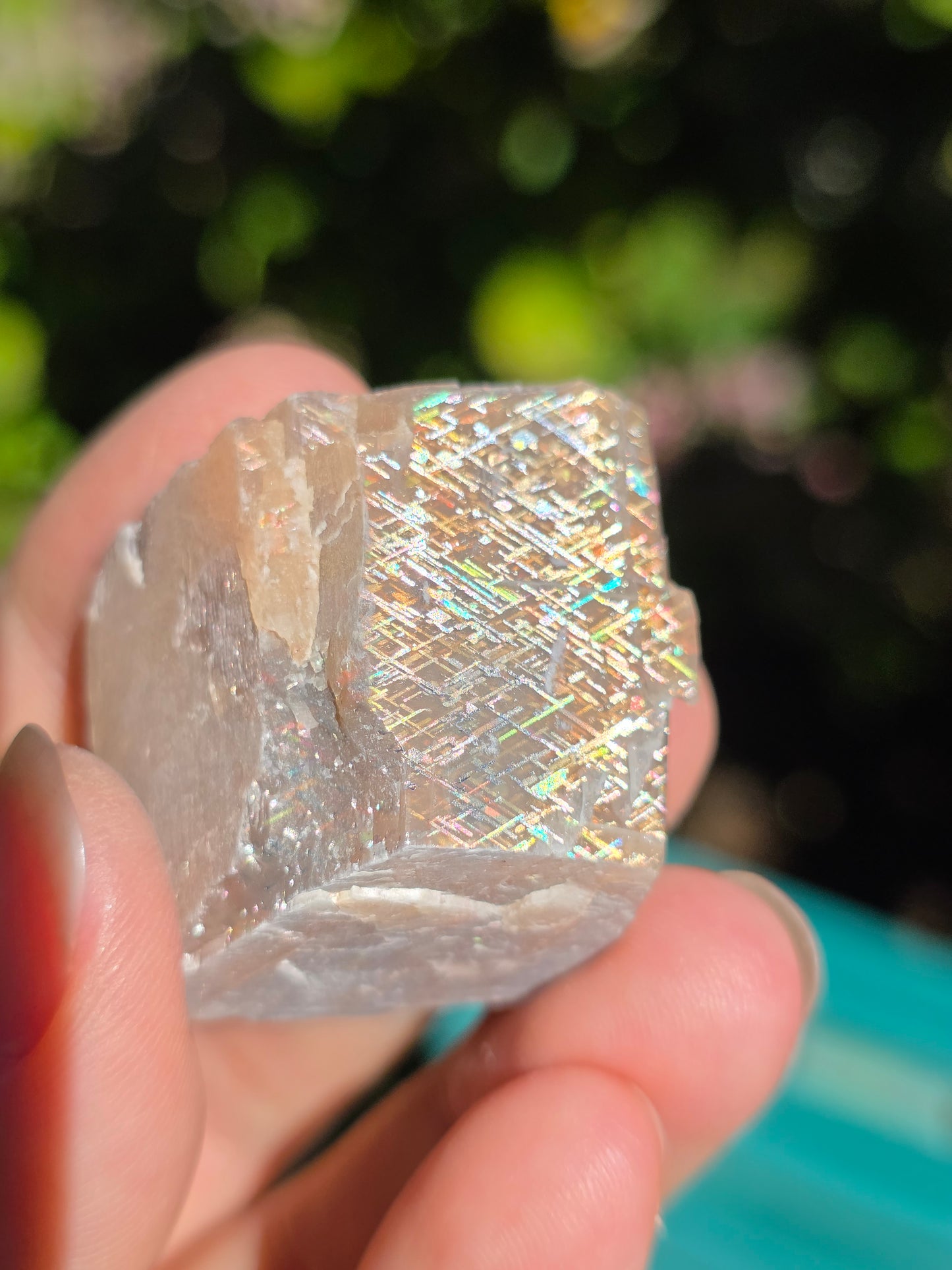 Pierre de soleil Rainbow Lattice n°6