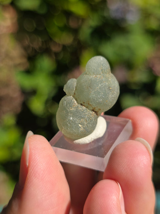 Prehnite botryoïdale du Mali (à choisir)