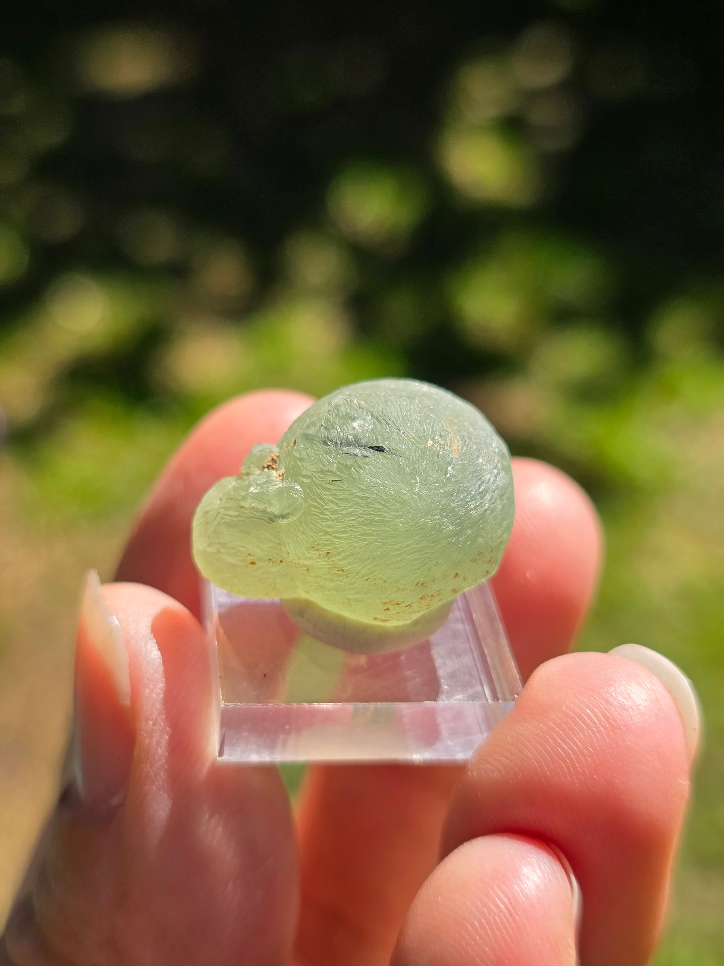 Prehnite botryoïdale du Mali (à choisir)