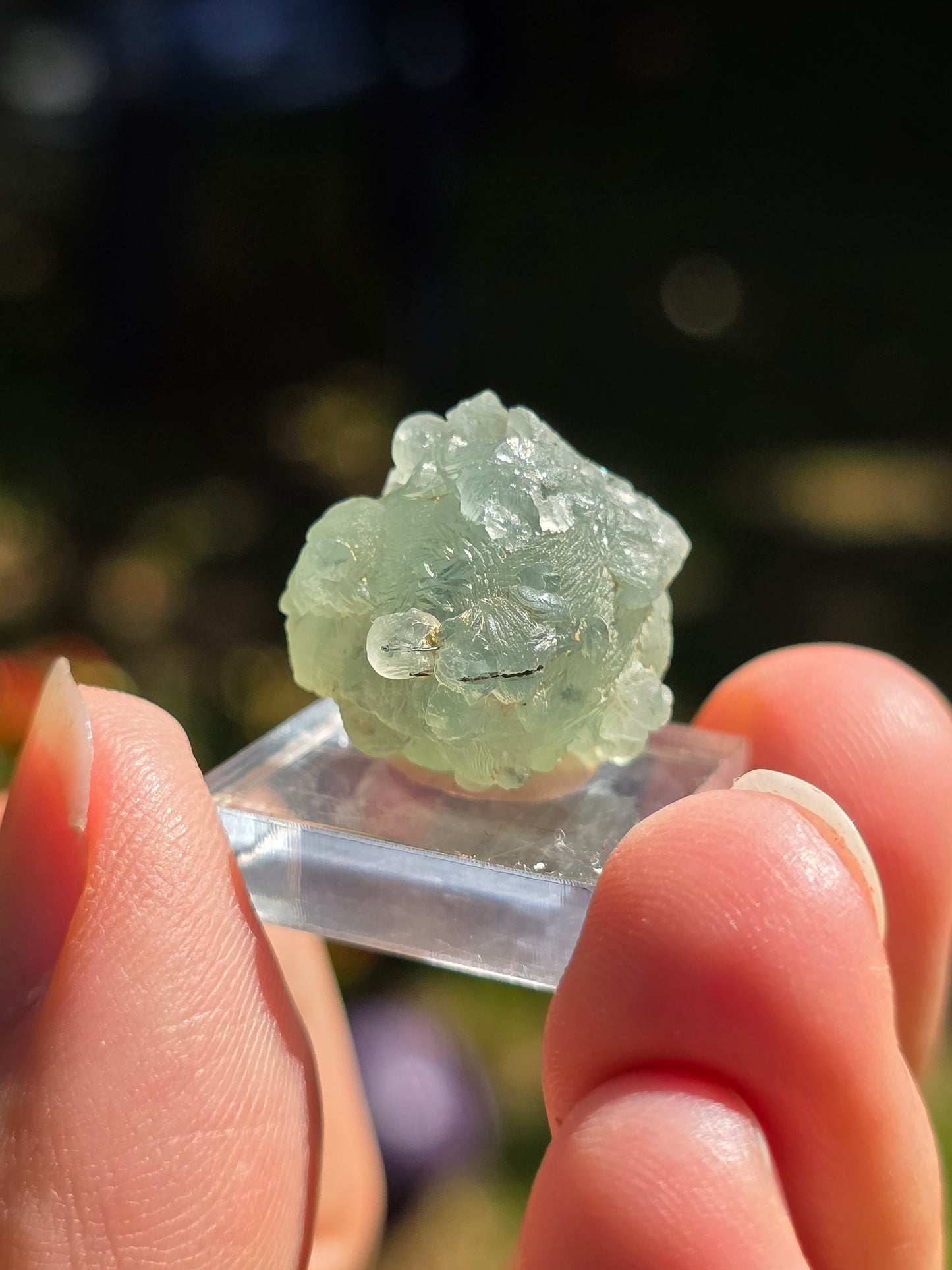 Prehnite botryoïdale du Mali (à choisir)