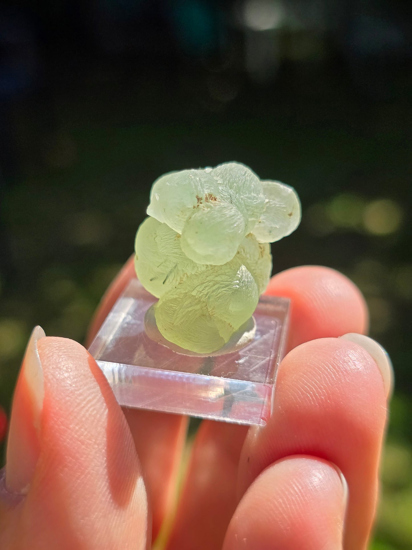 Prehnite botryoïdale du Mali (à choisir)