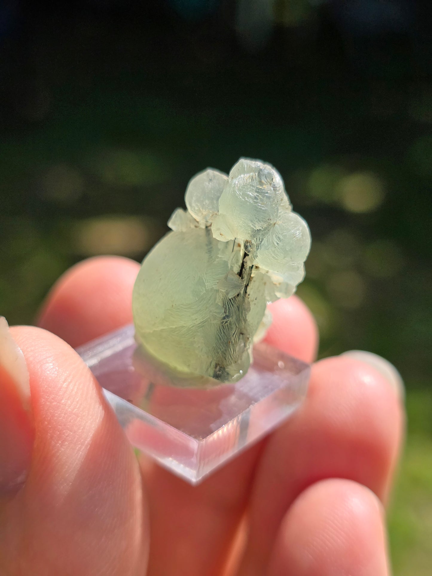 Prehnite botryoïdale du Mali (à choisir)