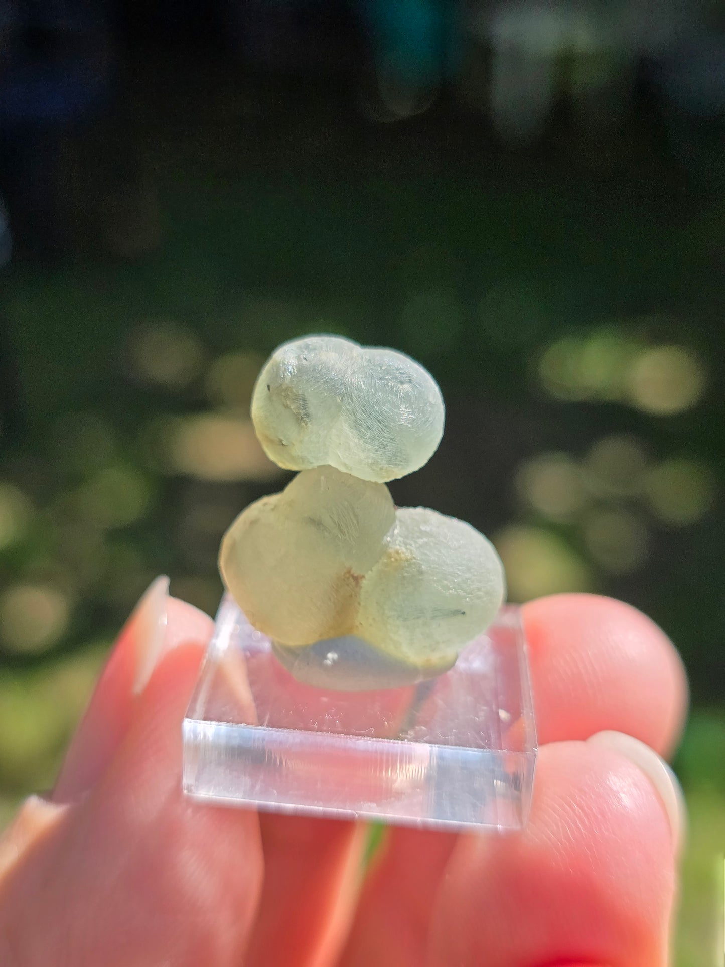 Prehnite botryoïdale du Mali (à choisir)
