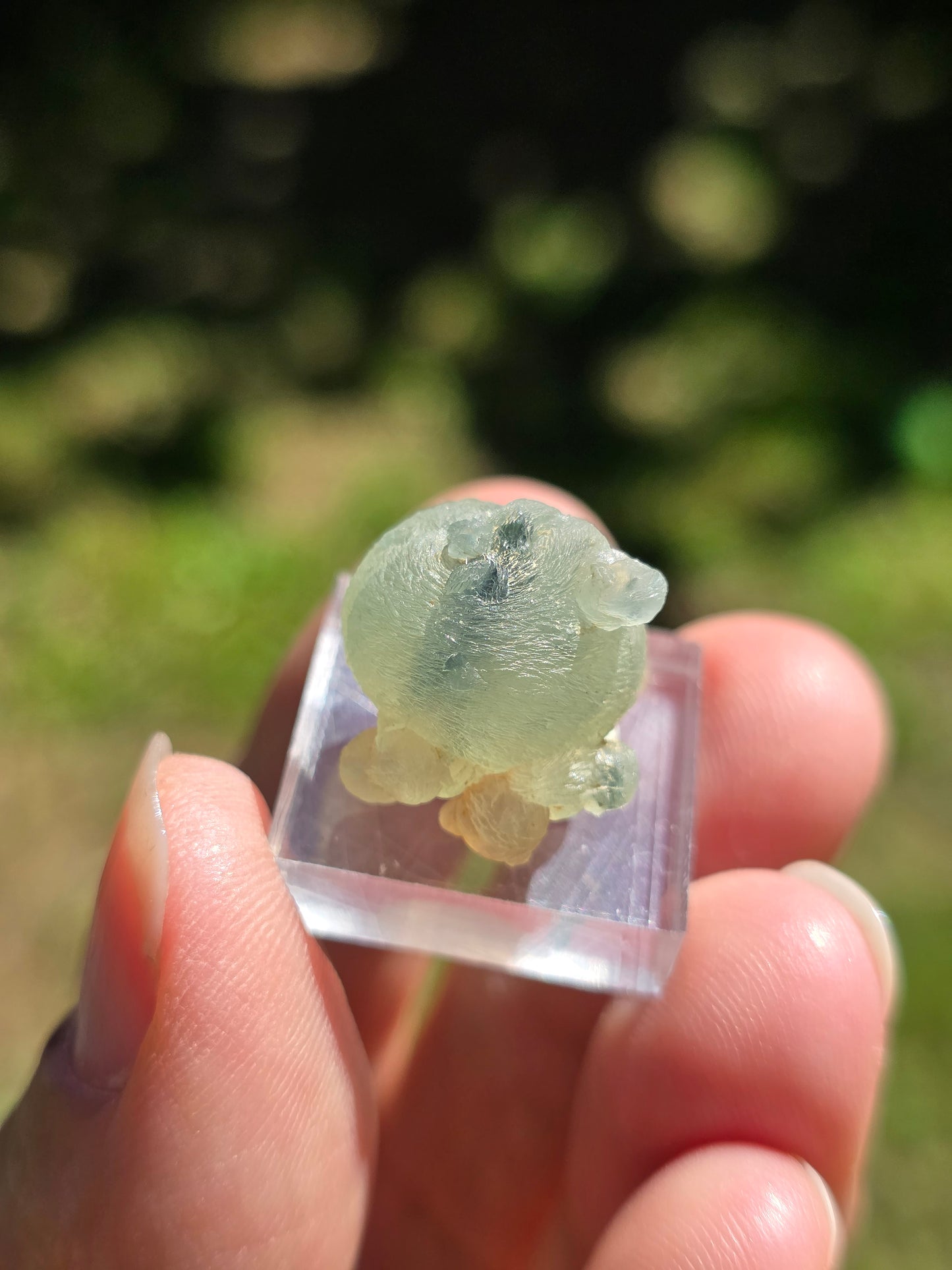 Prehnite botryoïdale du Mali (à choisir)