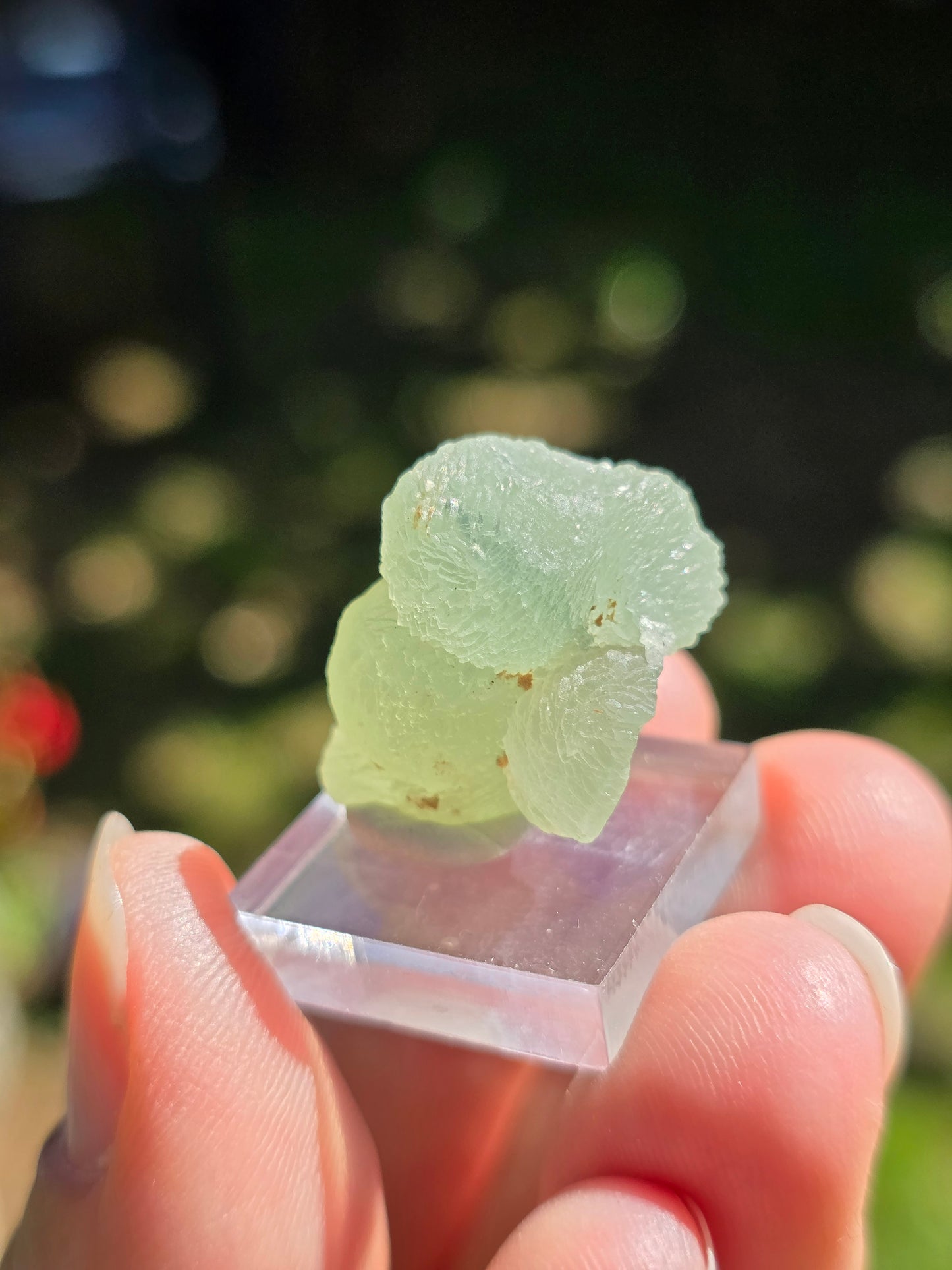 Prehnite botryoïdale du Mali (à choisir)