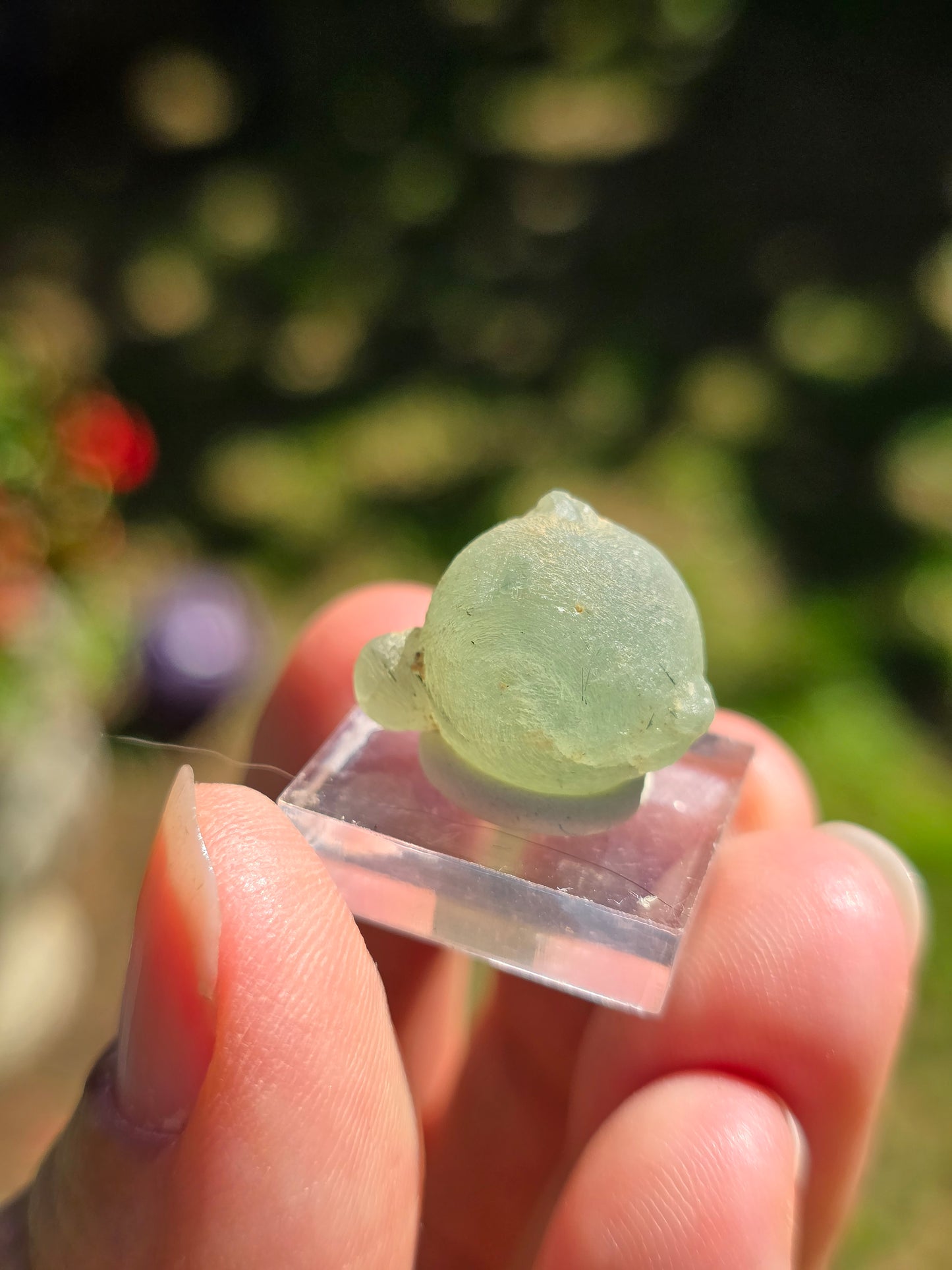 Prehnite botryoïdale du Mali (à choisir)