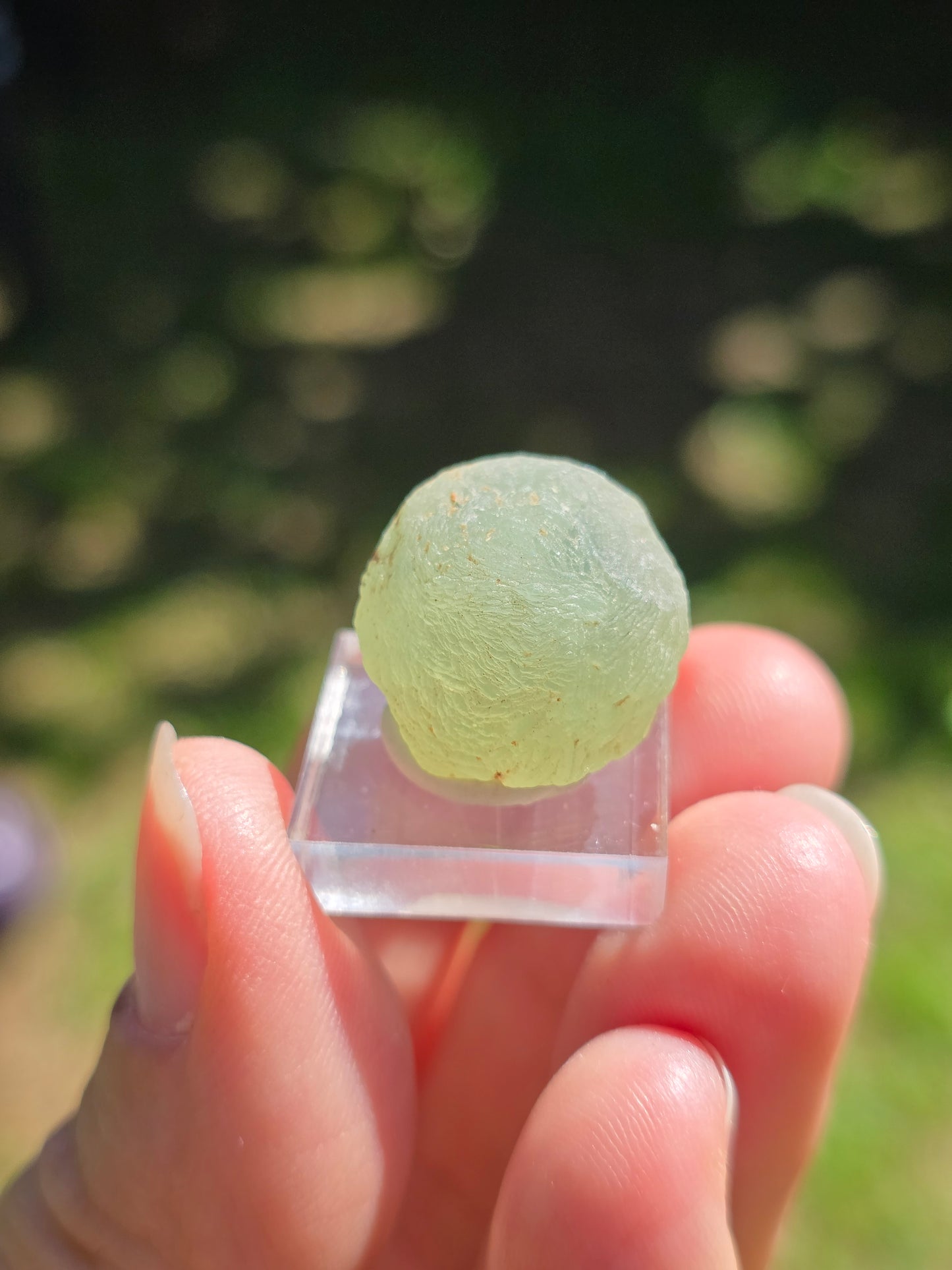 Prehnite botryoïdale du Mali (à choisir)