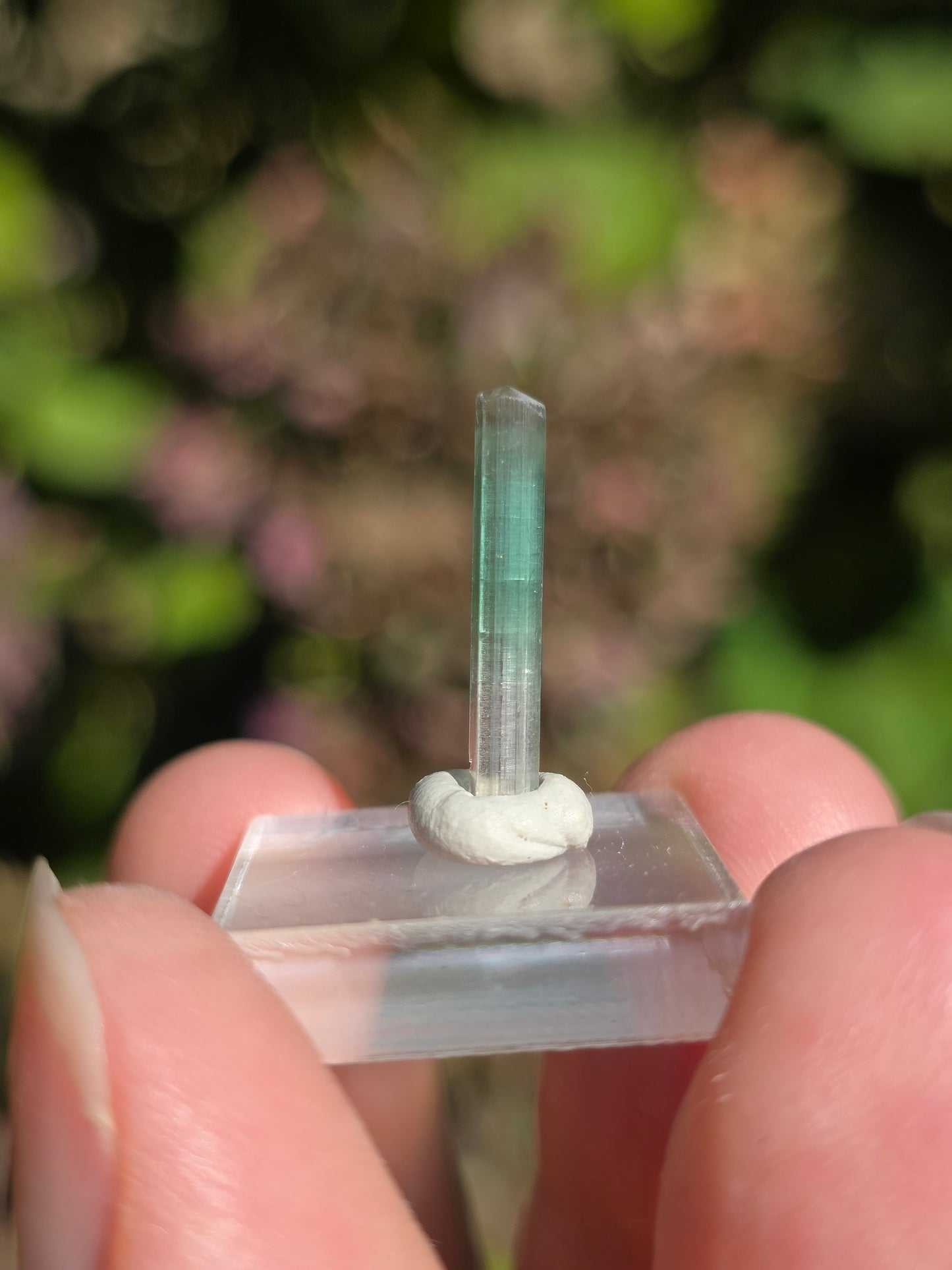 Tourmaline bicolore d'Afghanistan (à choisir)