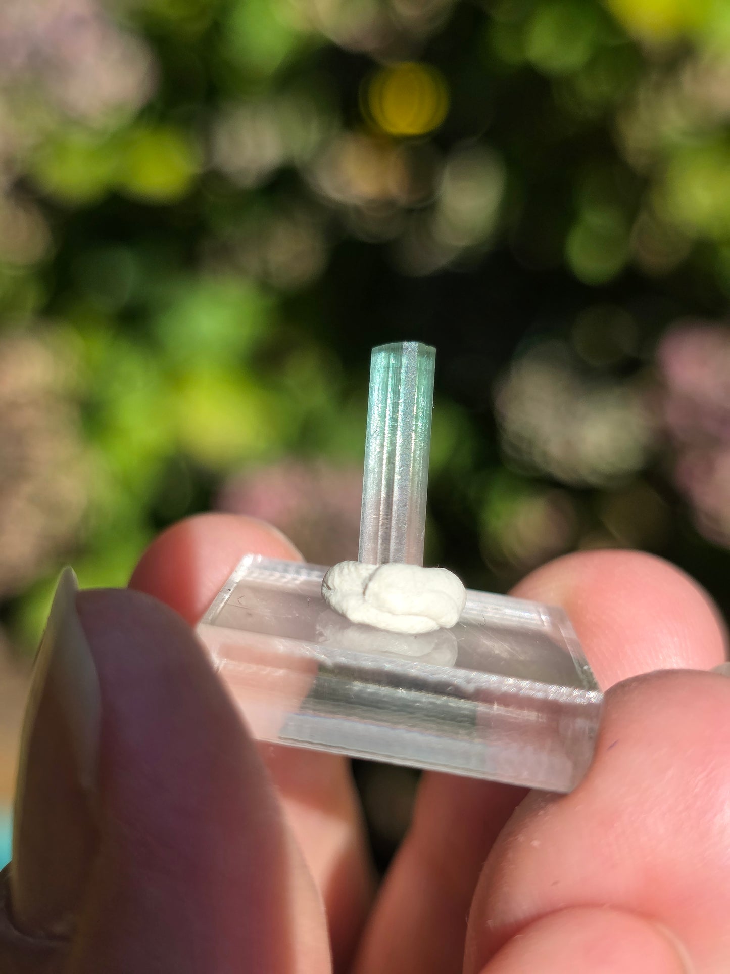 Tourmaline bicolore d'Afghanistan (à choisir)