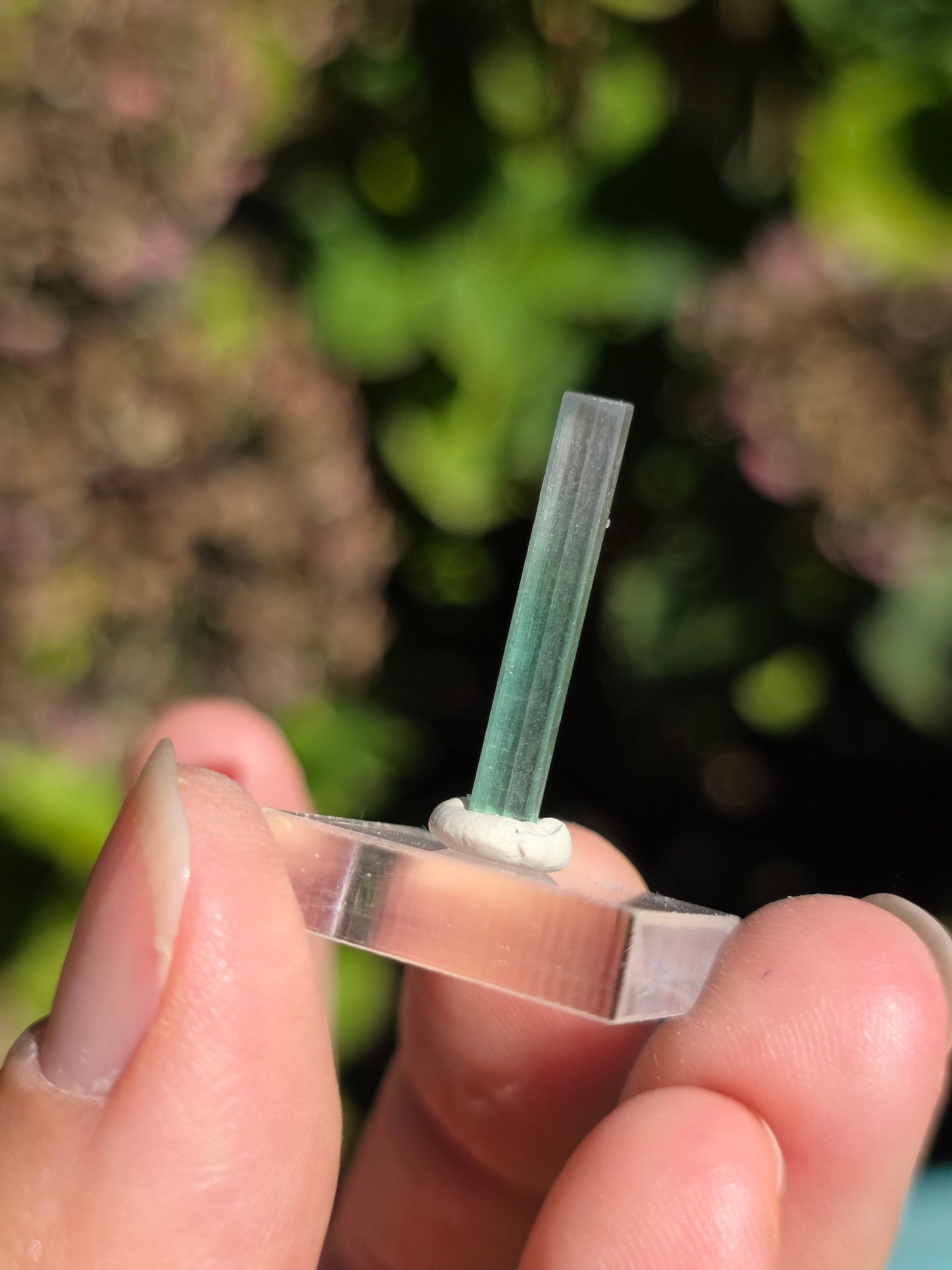 Tourmaline bicolore d'Afghanistan (à choisir)