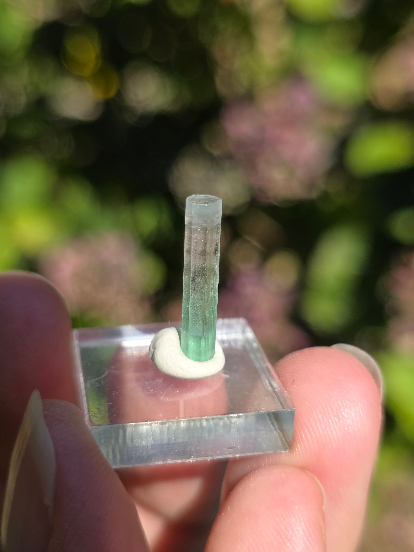Tourmaline bicolore d'Afghanistan (à choisir)