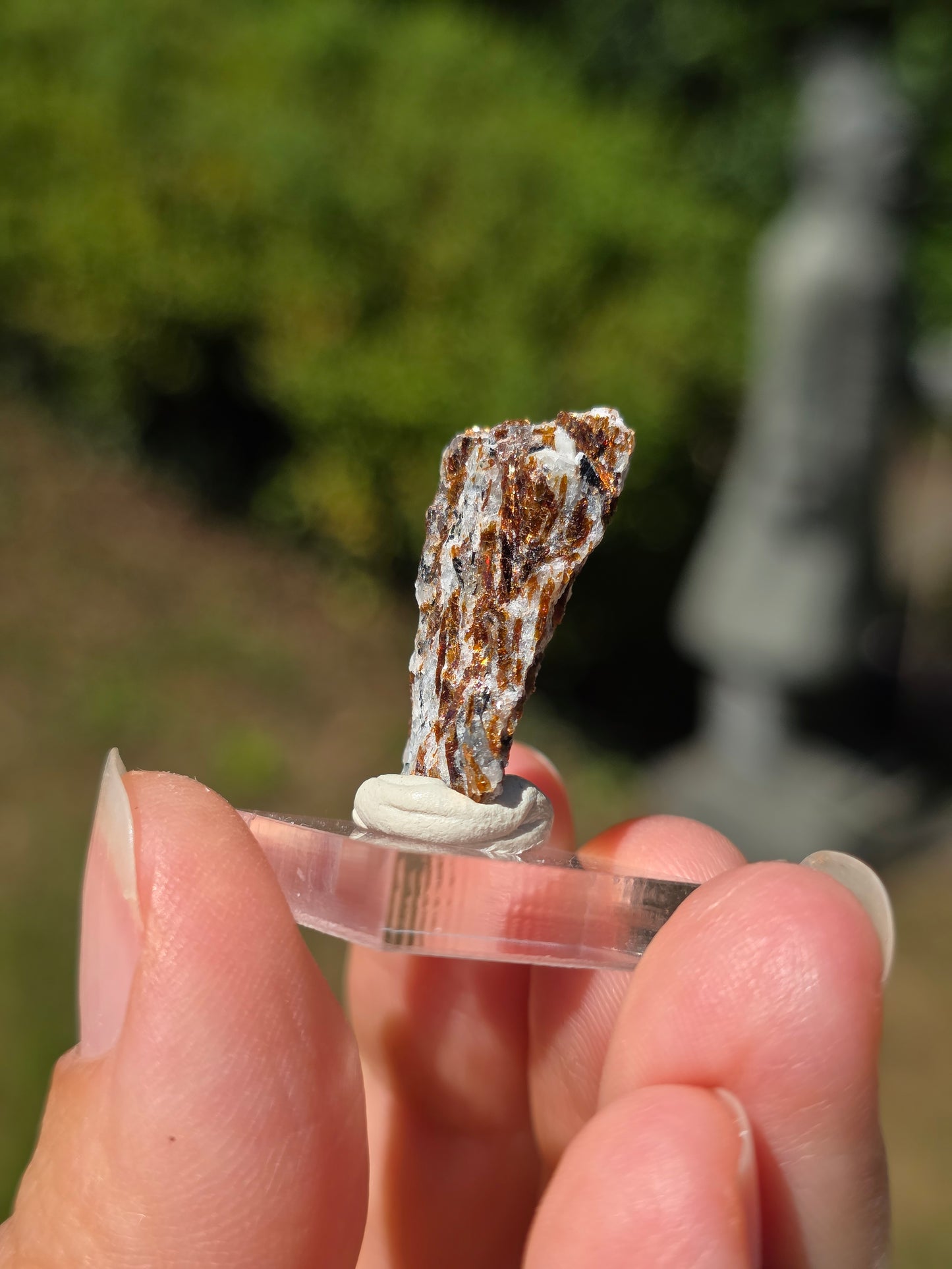 Astrophyllite de Russie n°3