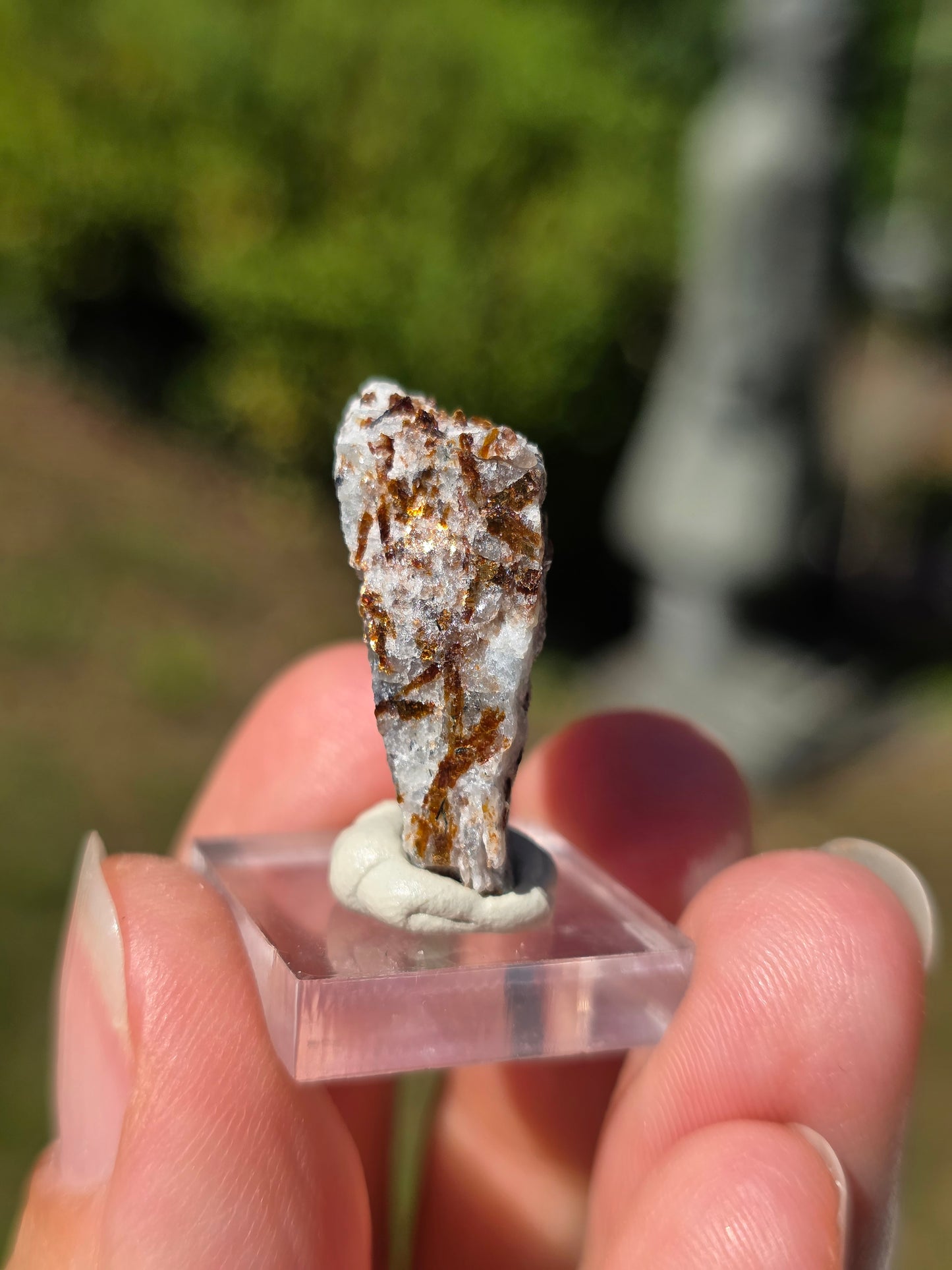 Astrophyllite de Russie n°3