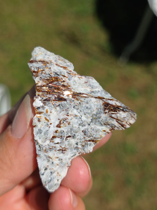 Astrophyllite de Russie n°11