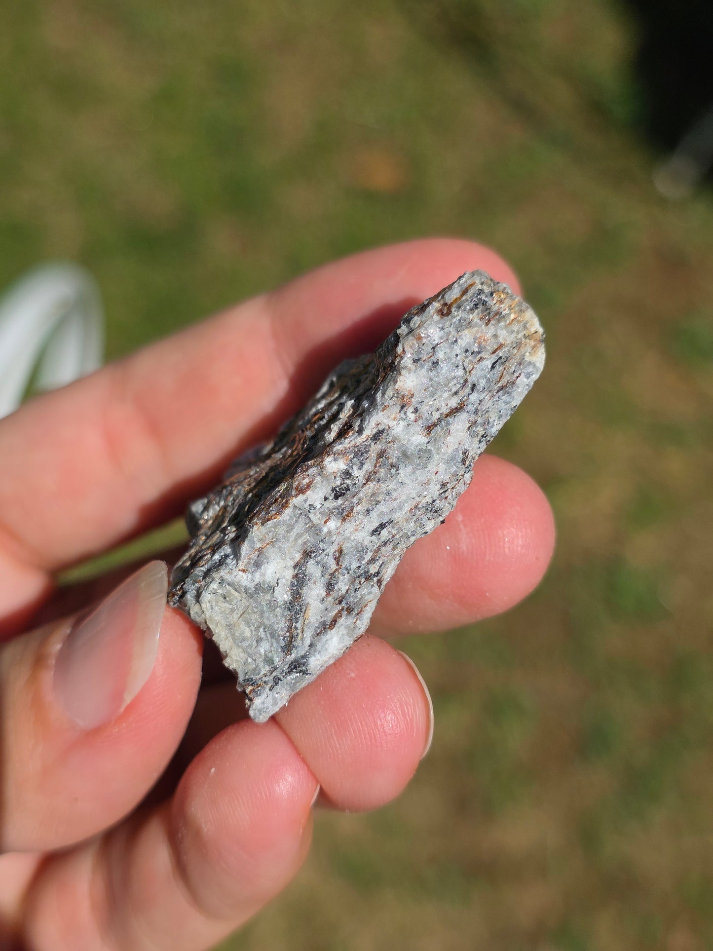 Astrophyllite de Russie n°12