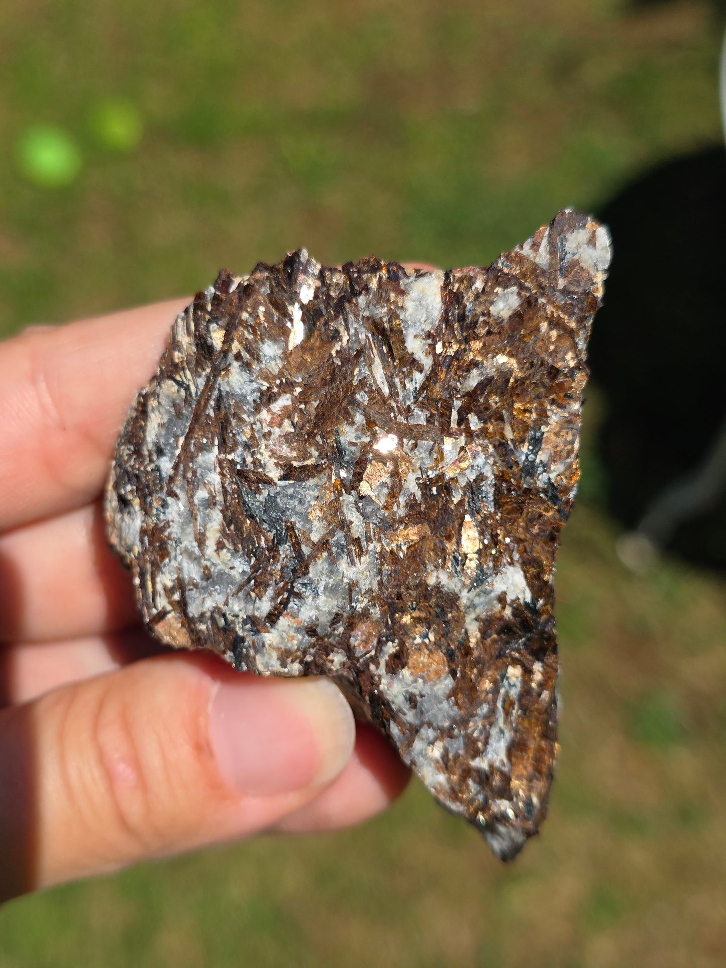 Astrophyllite de Russie n°13