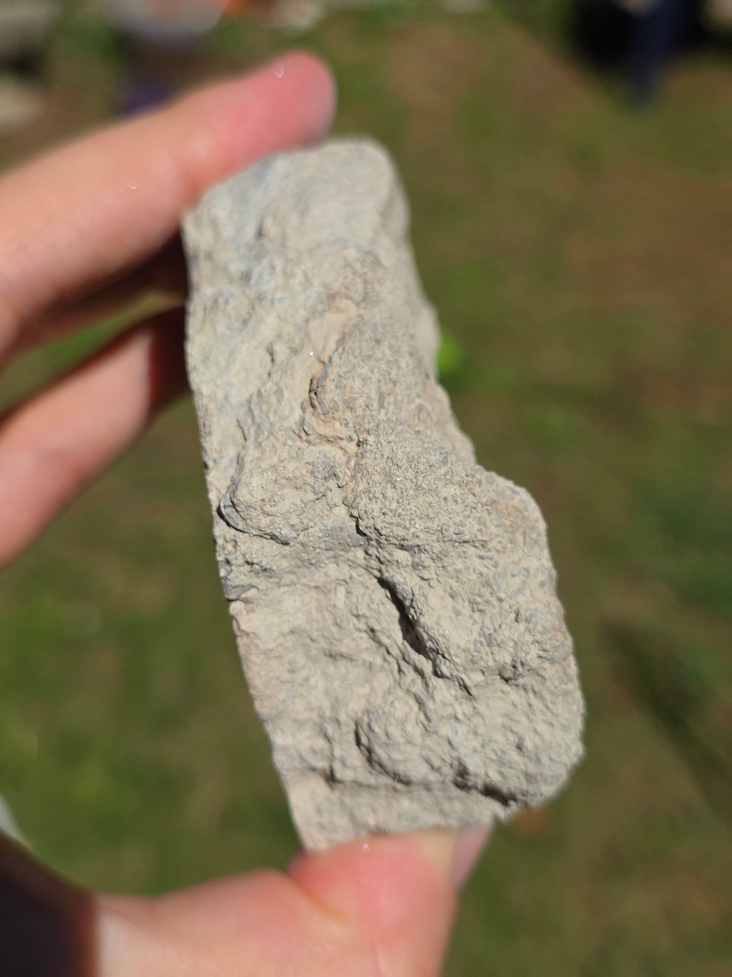Stromatolite d'Auvergne A