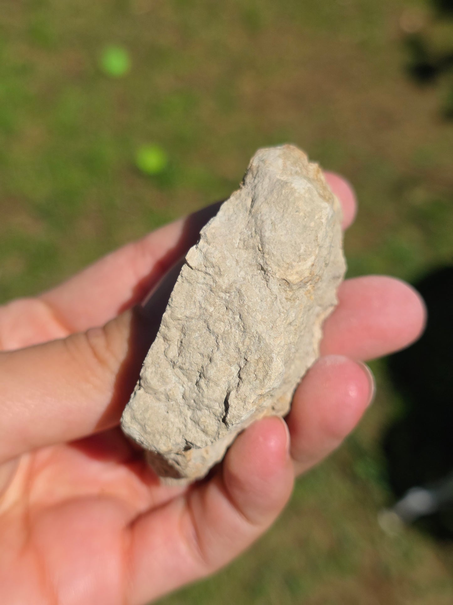 Stromatolite d'Auvergne D