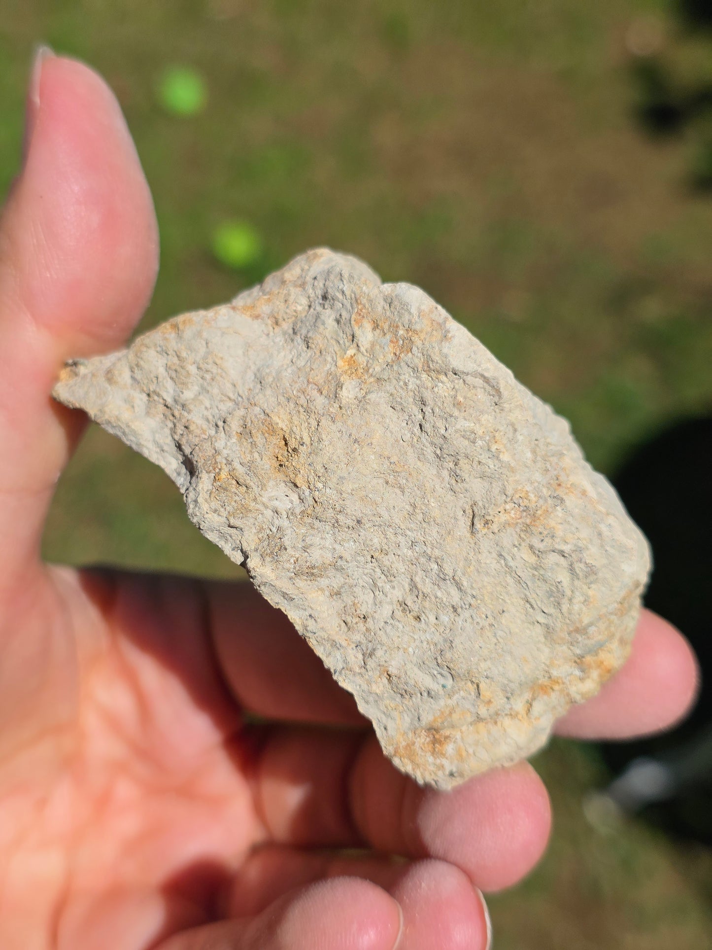 Stromatolite d'Auvergne D