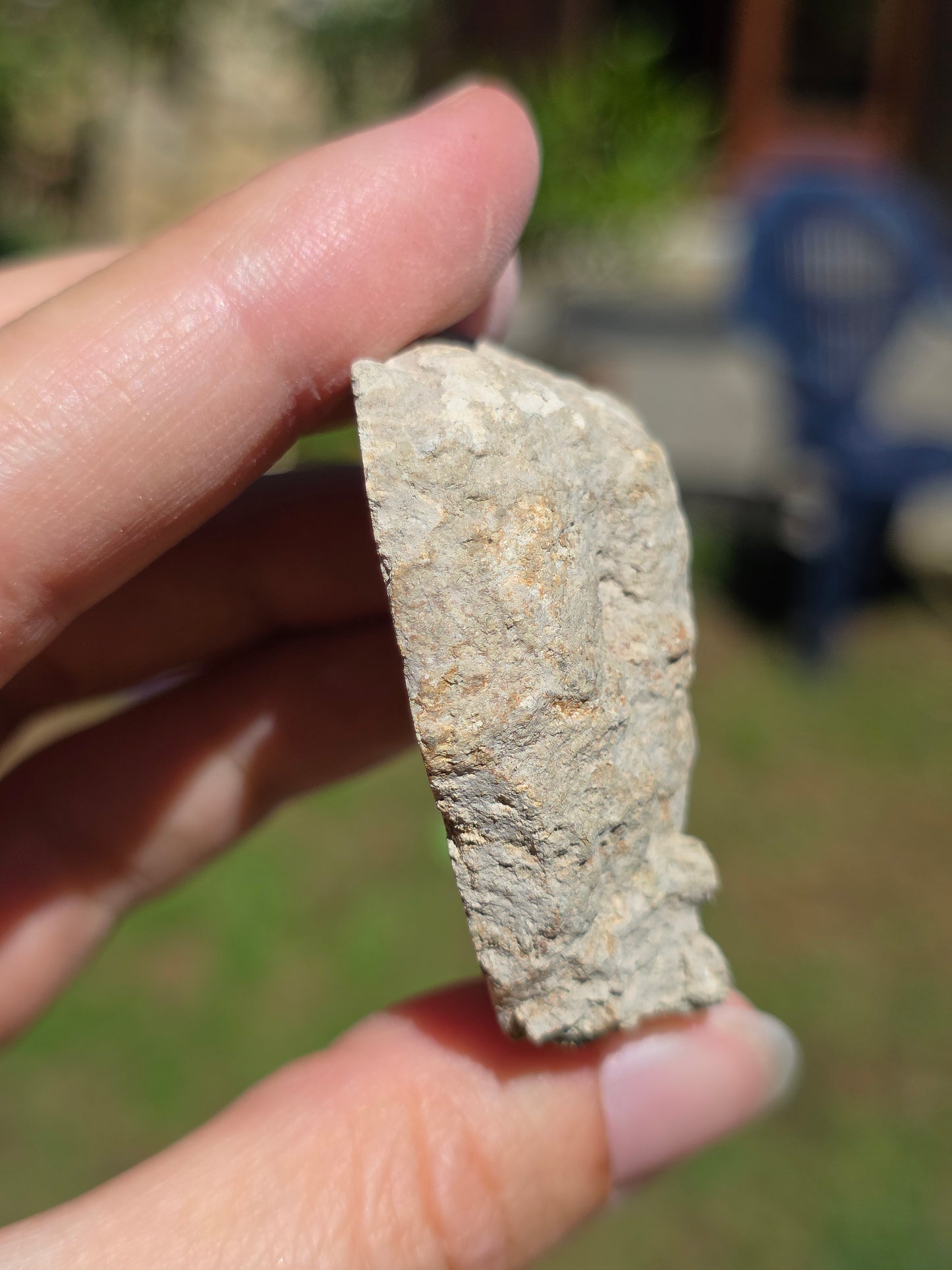 Stromatolite d'Auvergne F