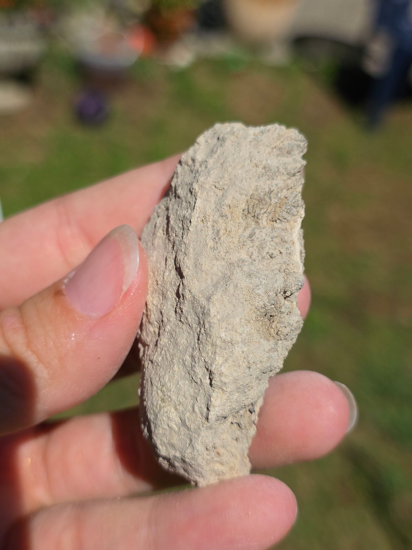 Stromatolite d'Auvergne G