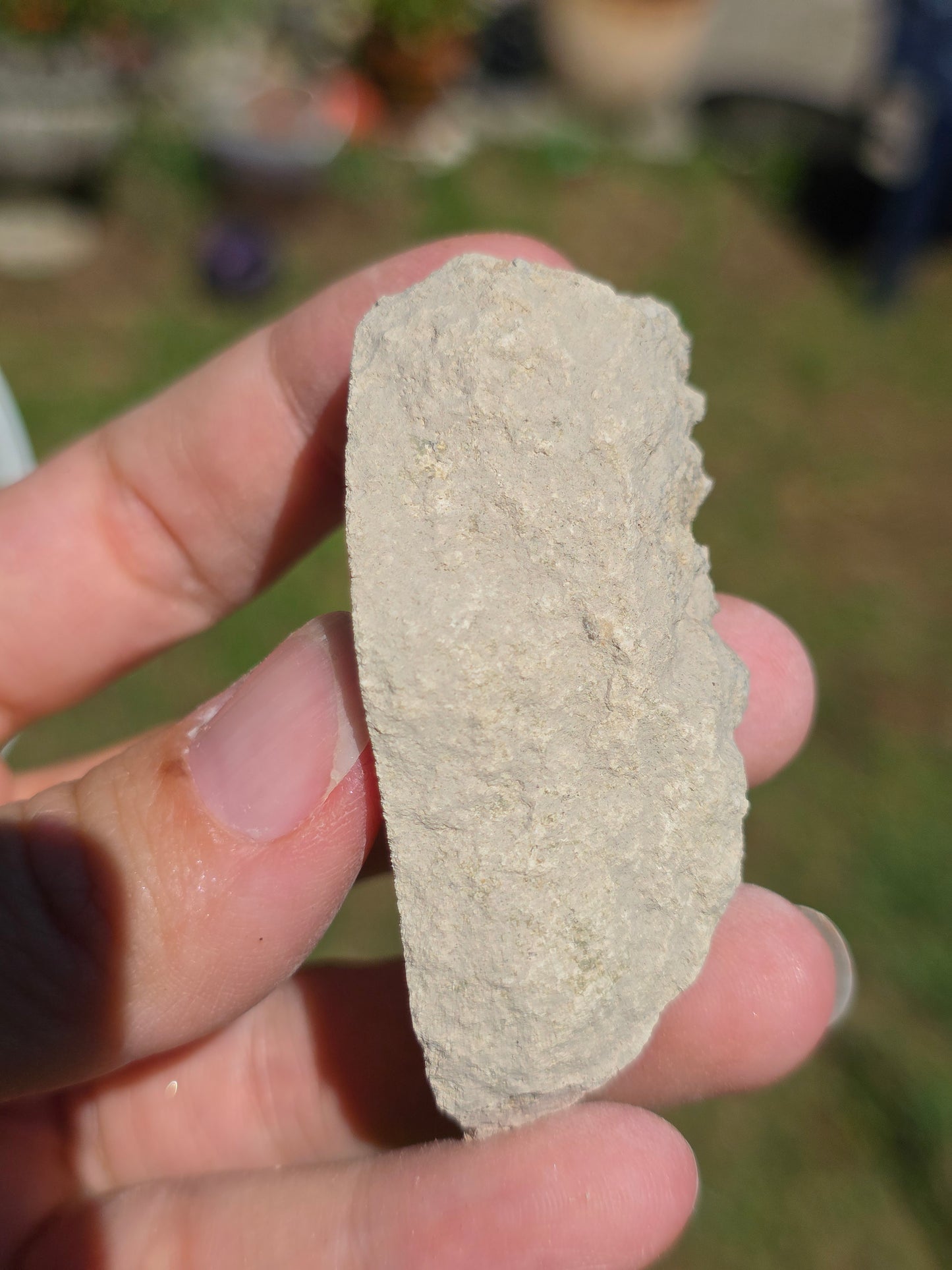 Stromatolite d'Auvergne G