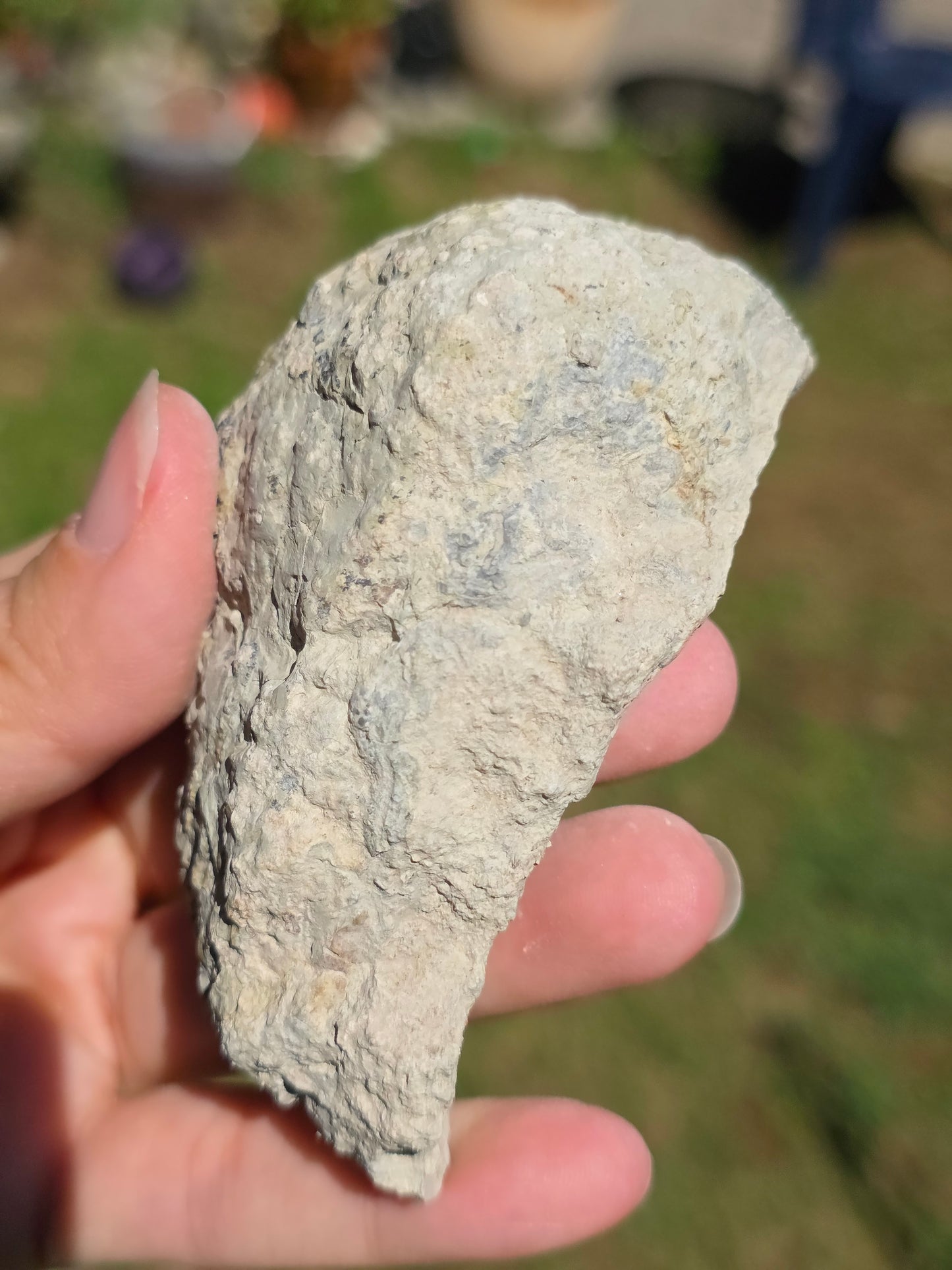 Stromatolite d'Auvergne I