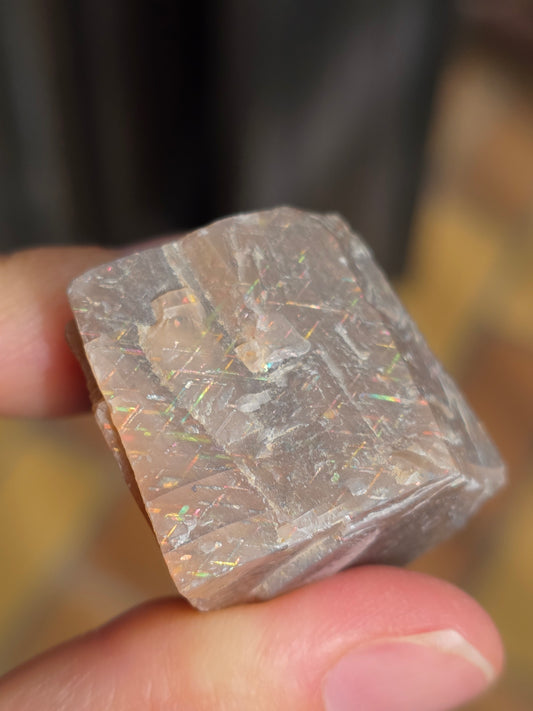 Pierre de soleil Rainbow Lattice n°24