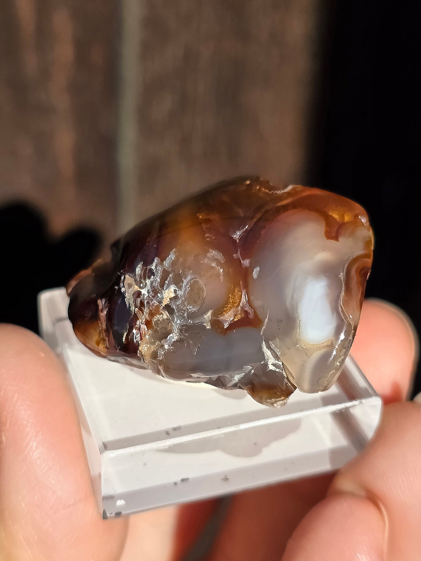 Agate feu du Mexique A1