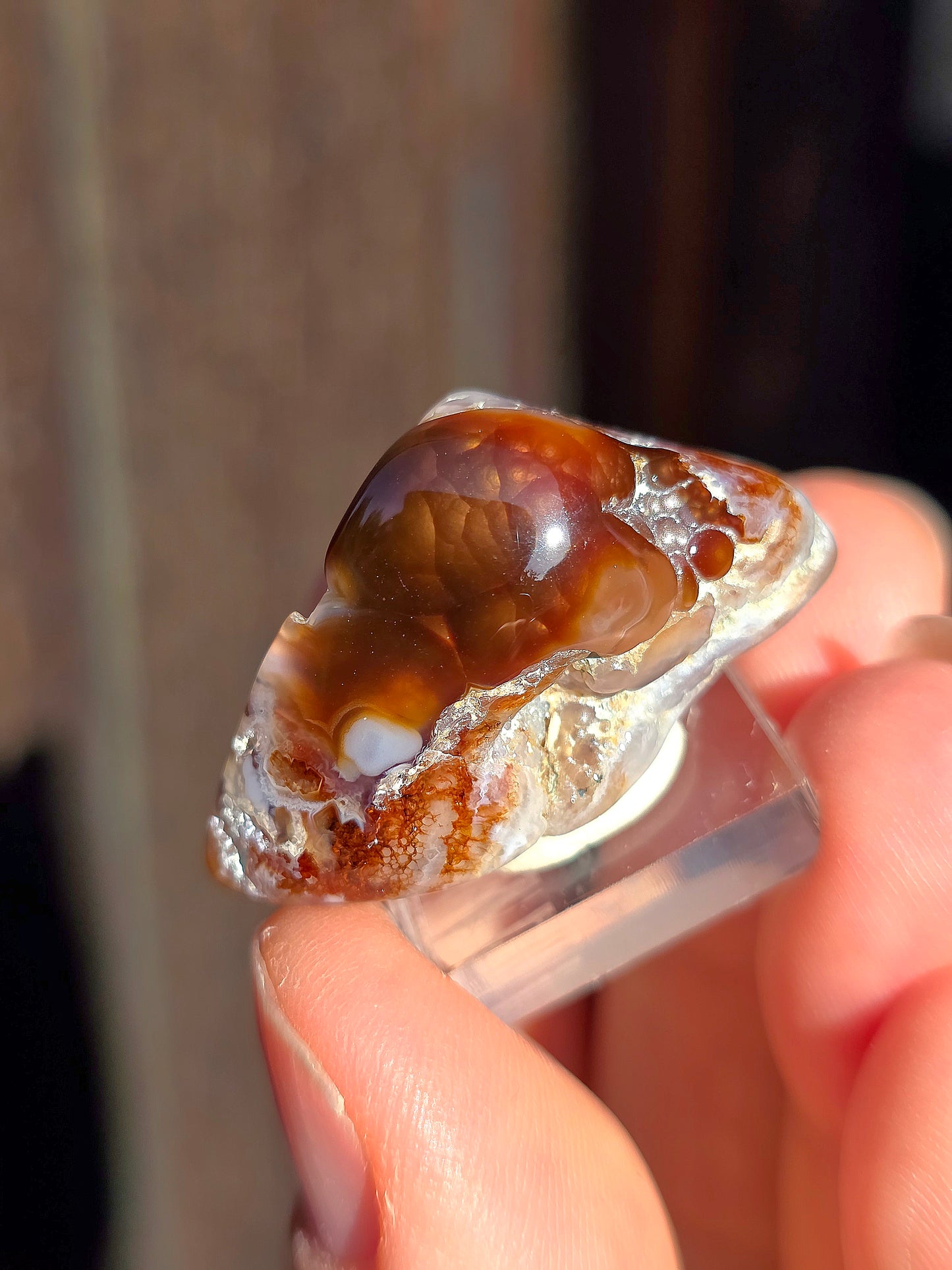 Agate feu du Mexique A7