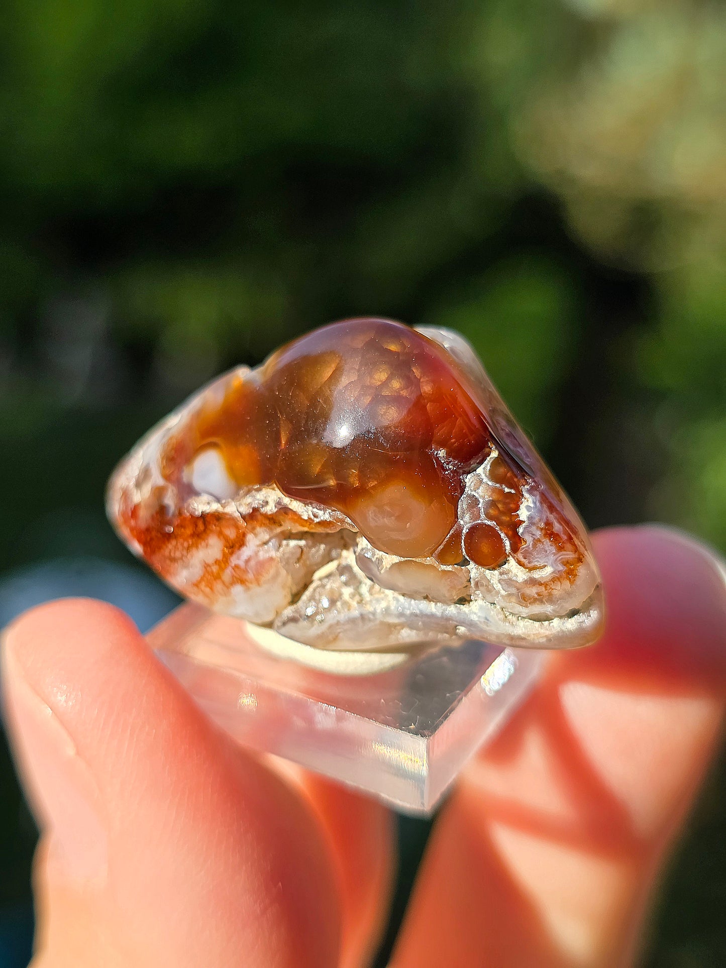 Agate feu du Mexique A7