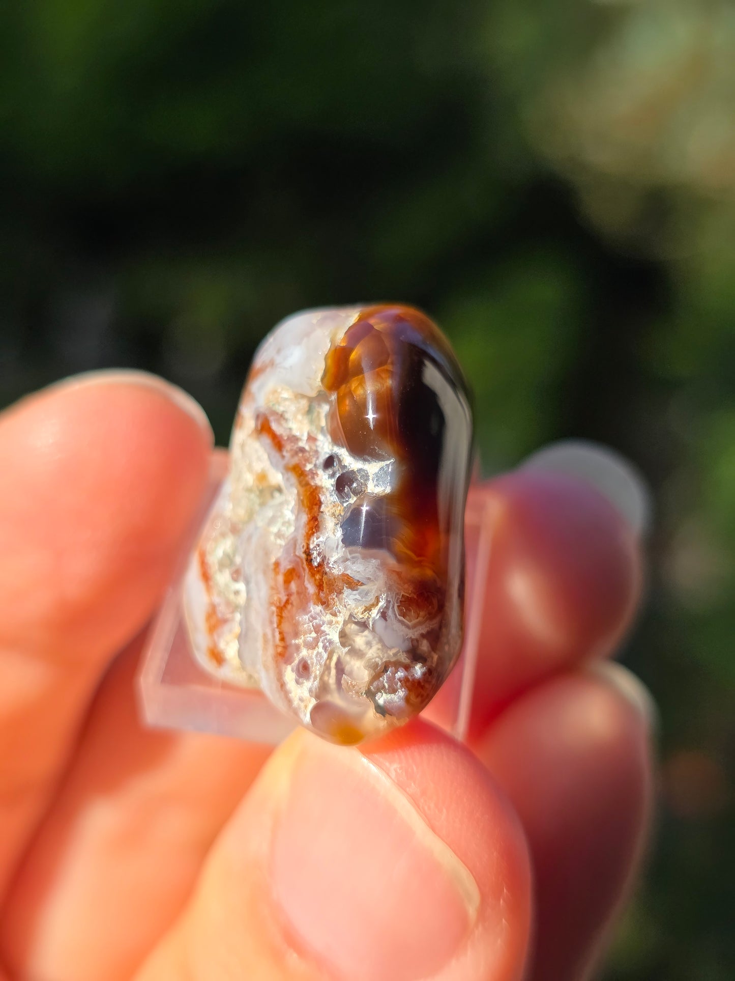 Agate feu du Mexique A7