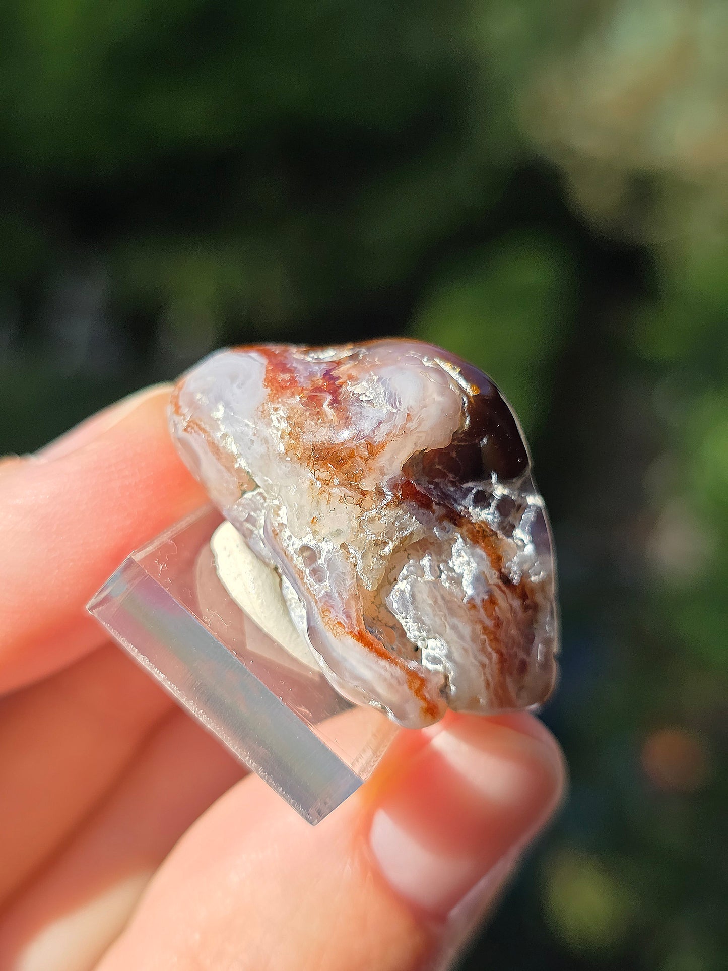 Agate feu du Mexique A7